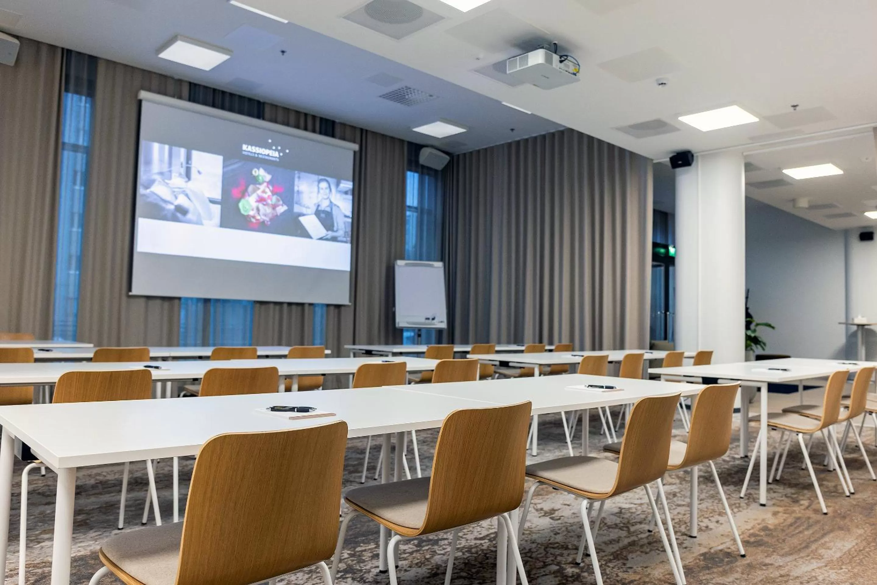 Business facilities in Hotel Matts