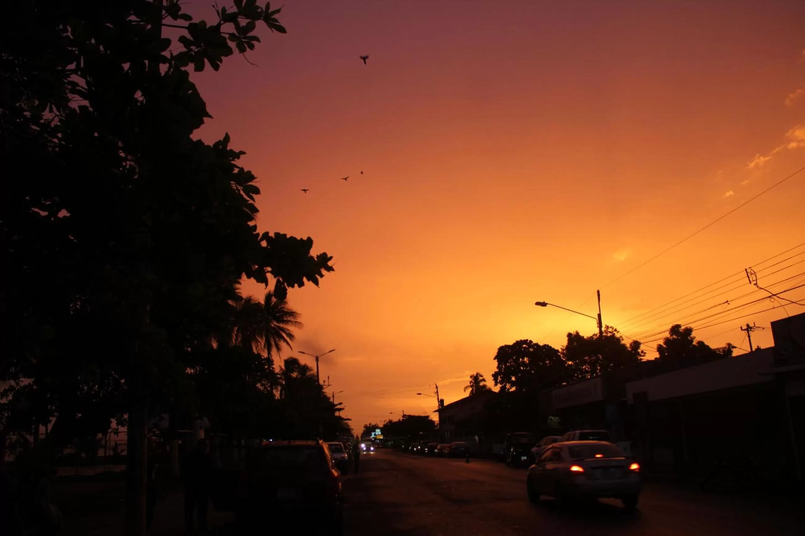 Natural landscape in Hotel Aldea Pura Vida