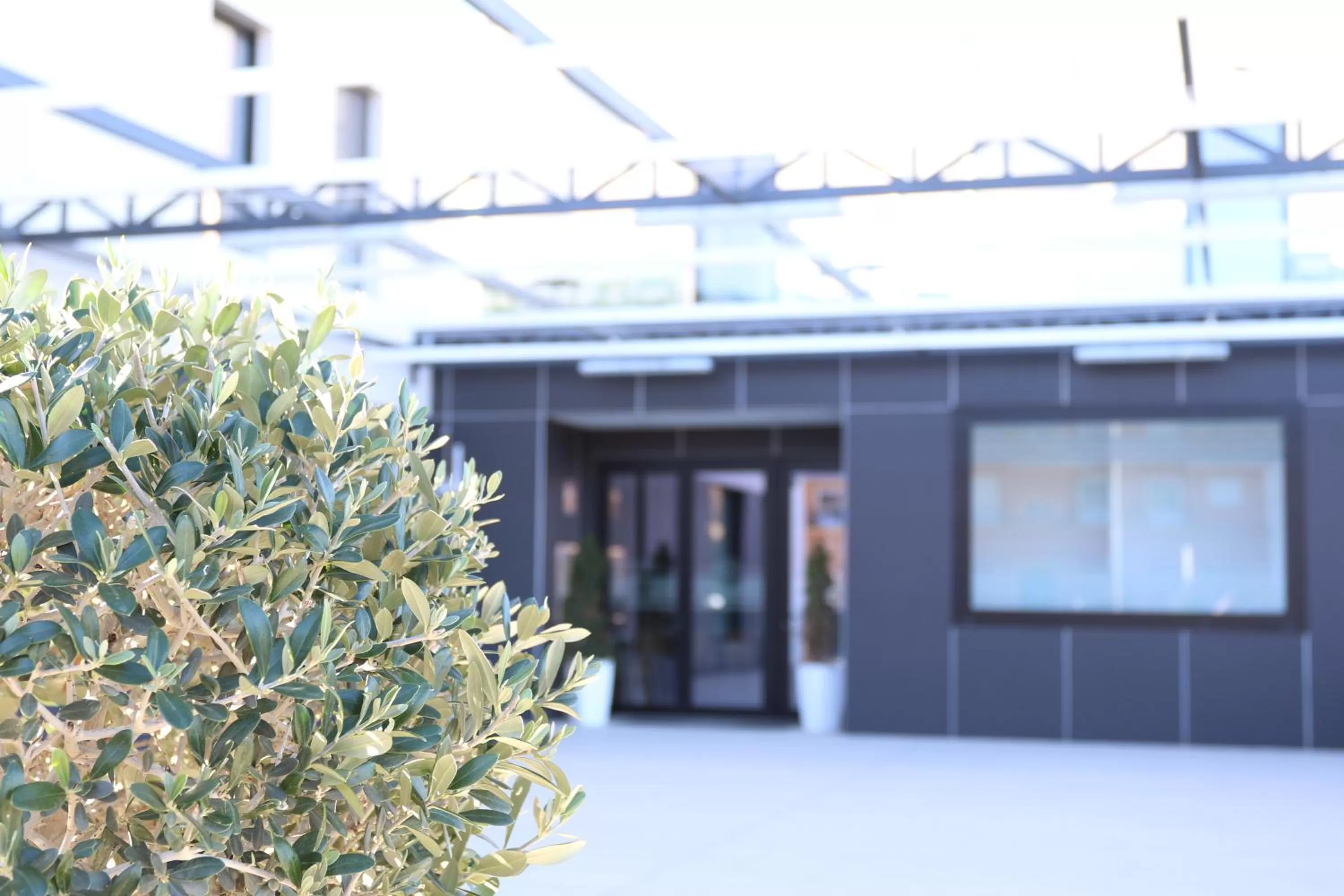 Property building in Hotel Leo