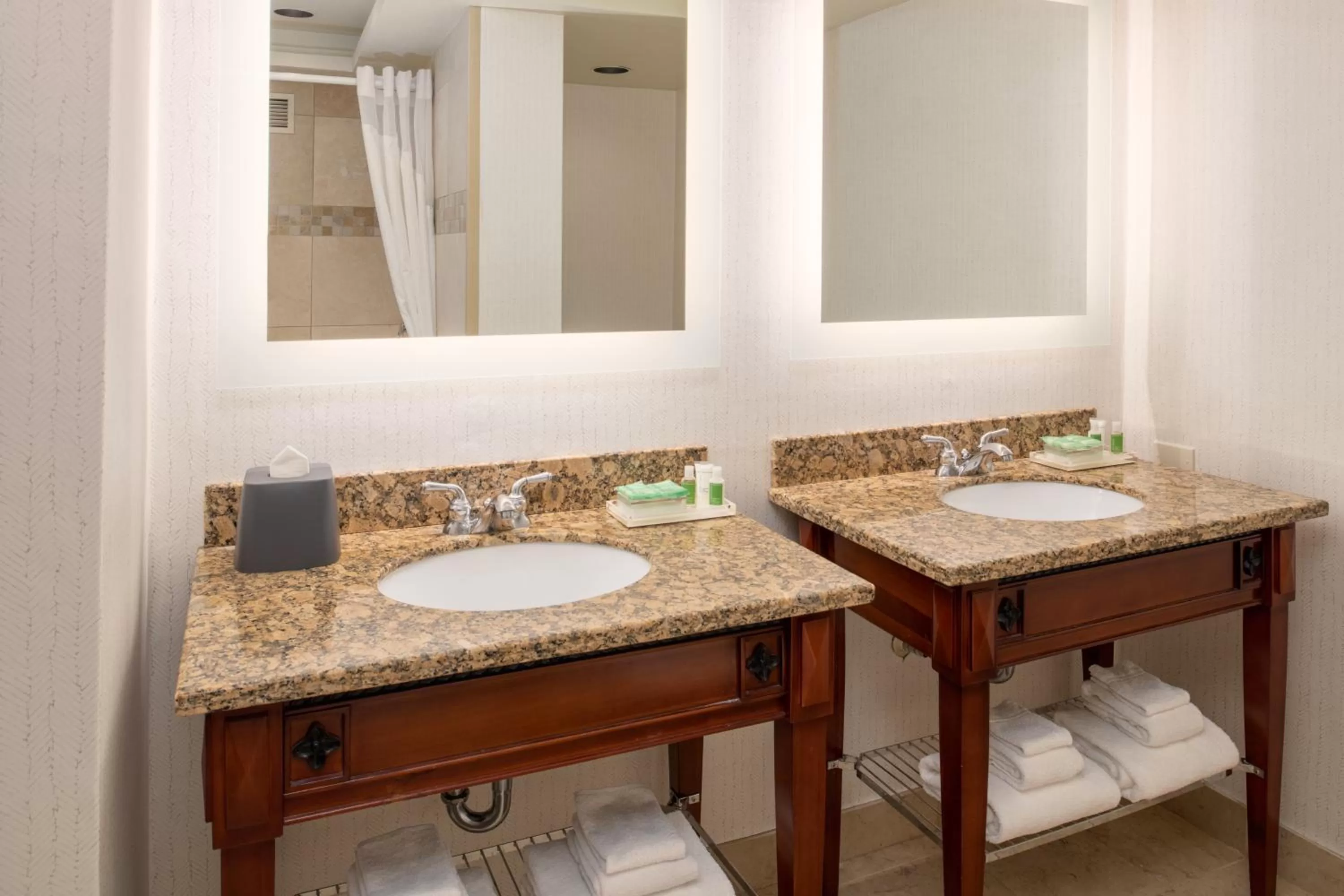 Bathroom in Holiday Inn Portland - Columbia Riverfront by IHG