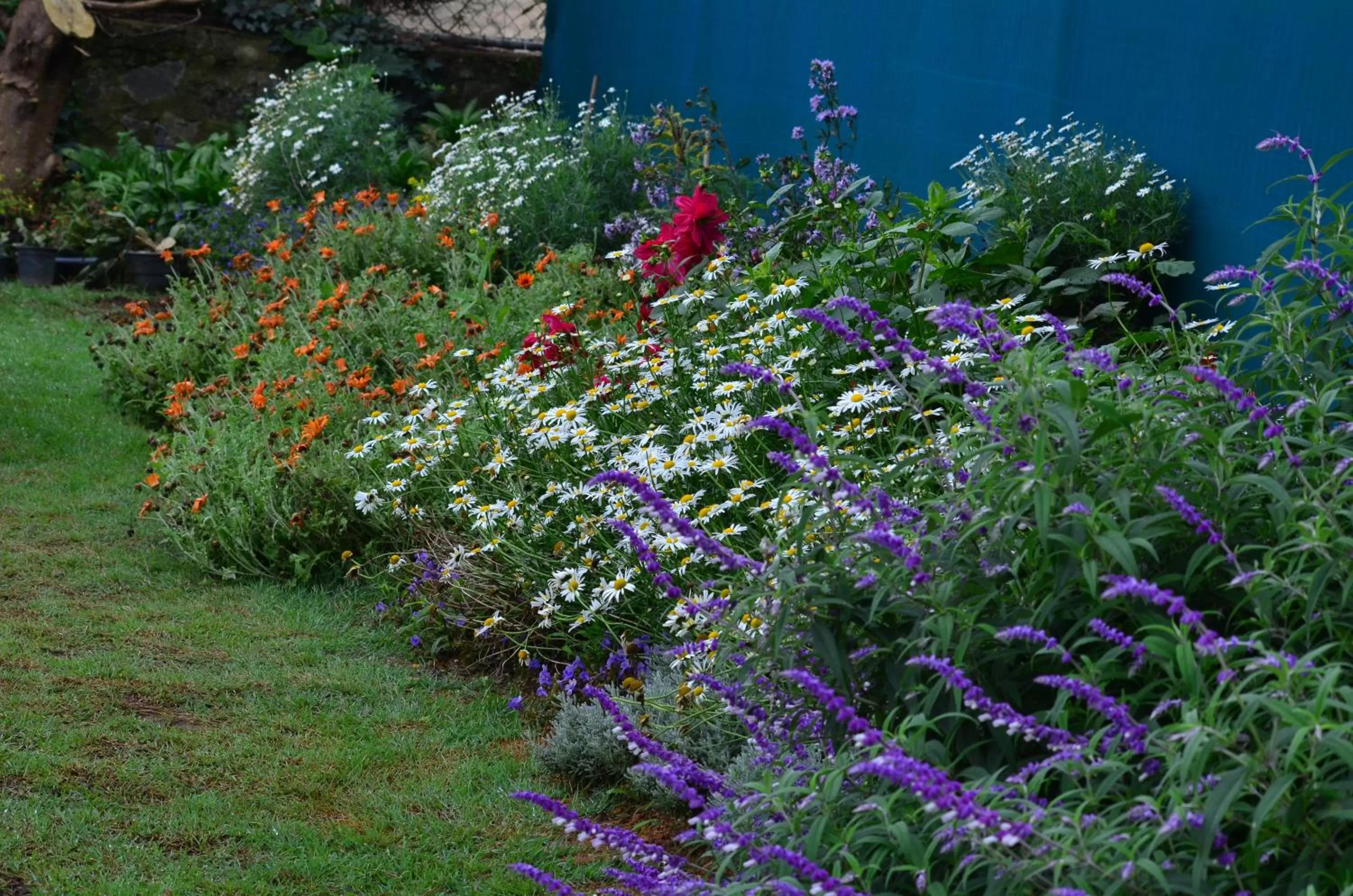 Garden in Ripon Grand Hill By EHI