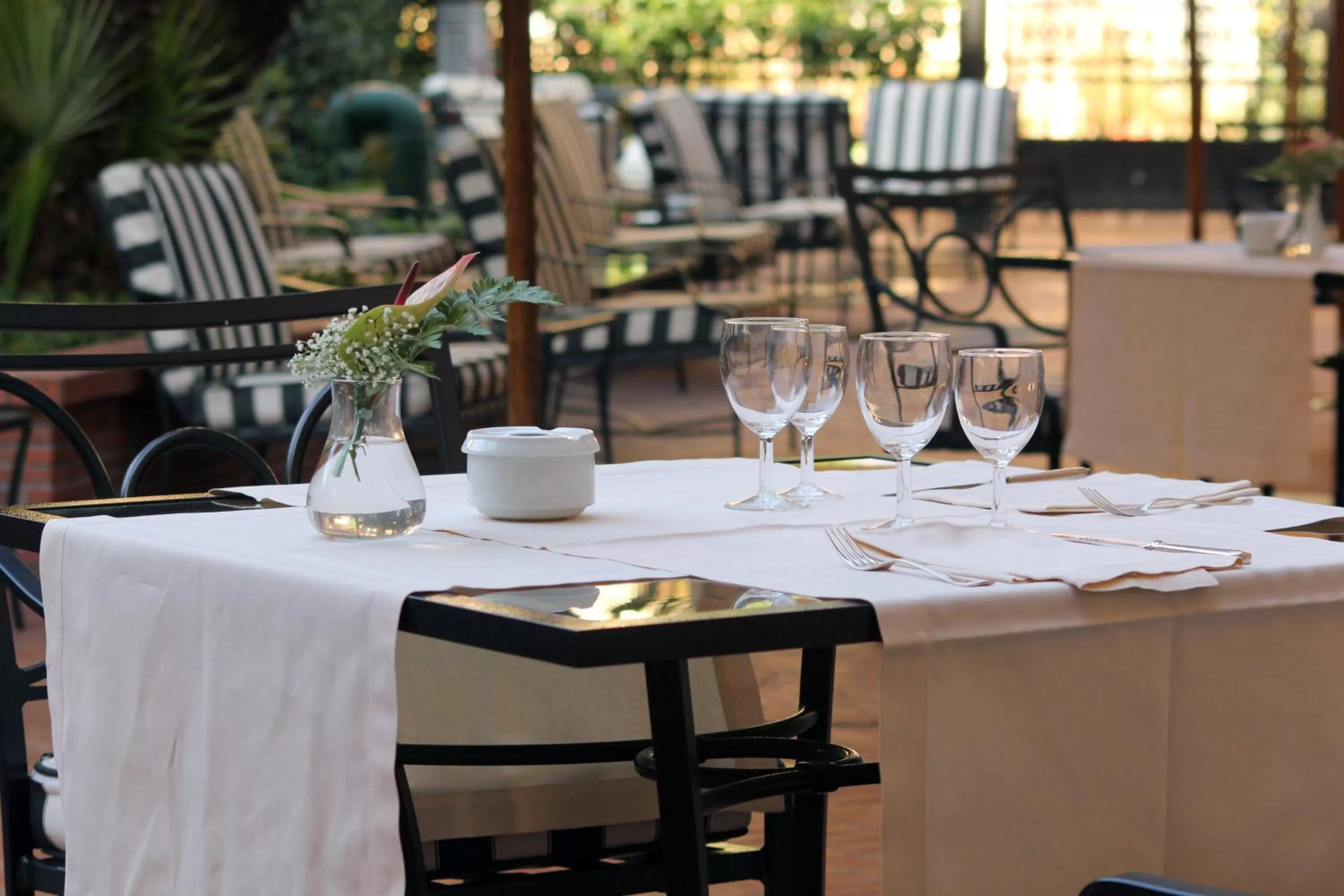 Restaurant/places to eat in Hotel Albani Firenze