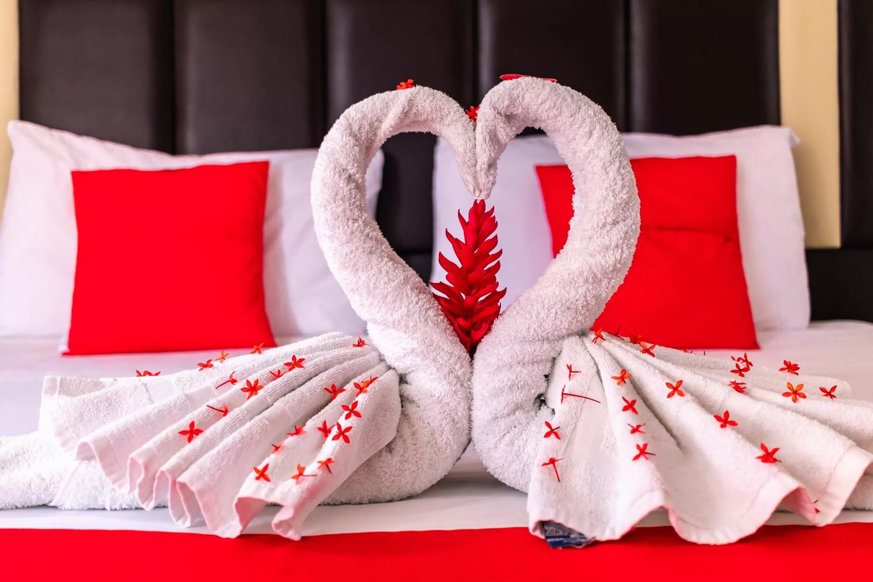 towels, Bed in Hotel Bello Caribe Express