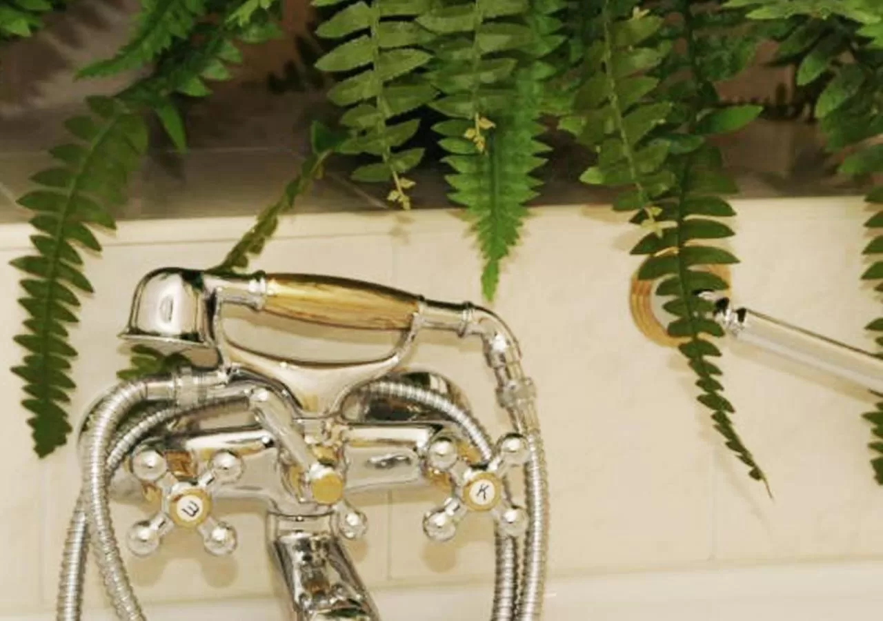 Bath in De Gouden Molen