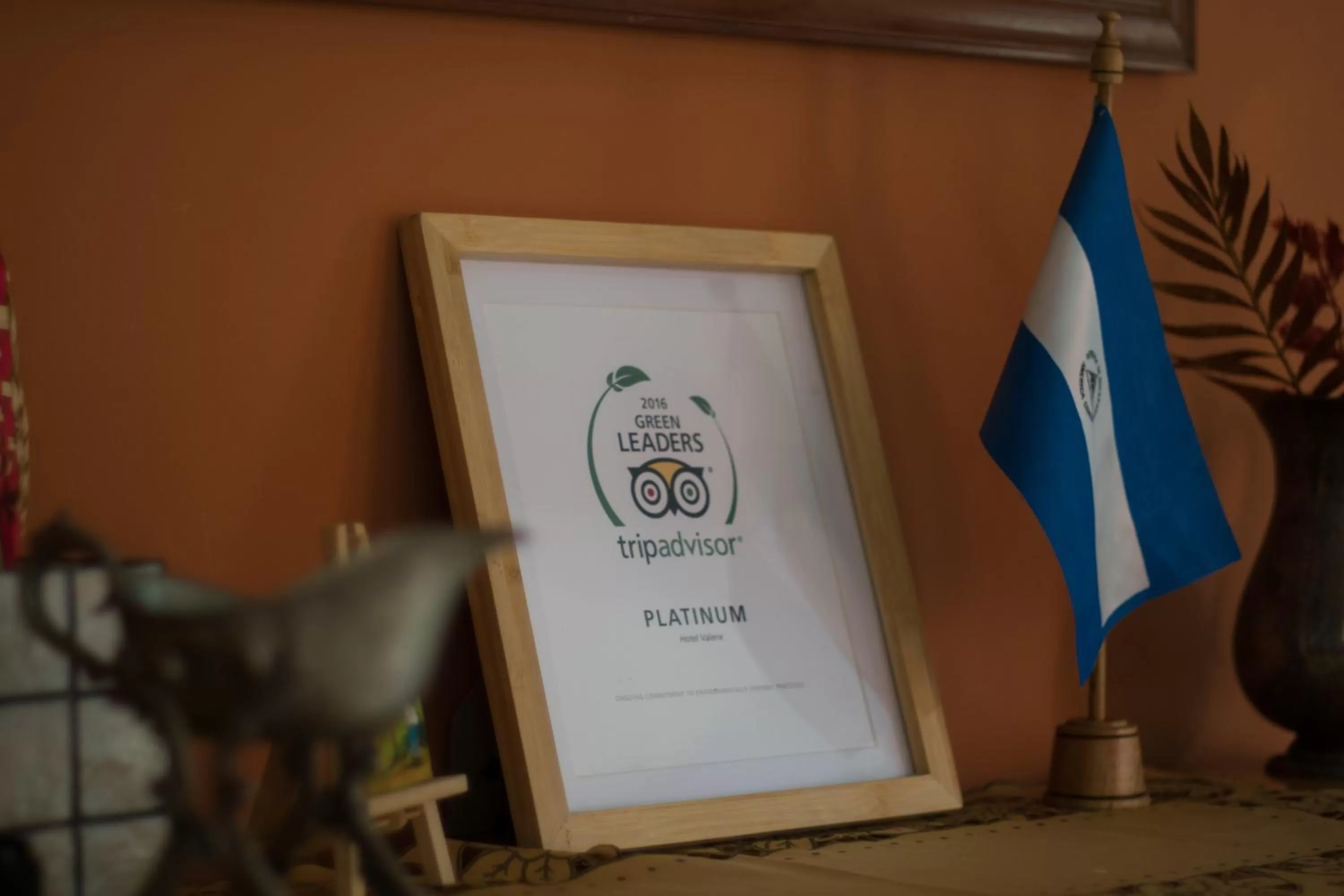 Certificate/Award in Hotel Valerie