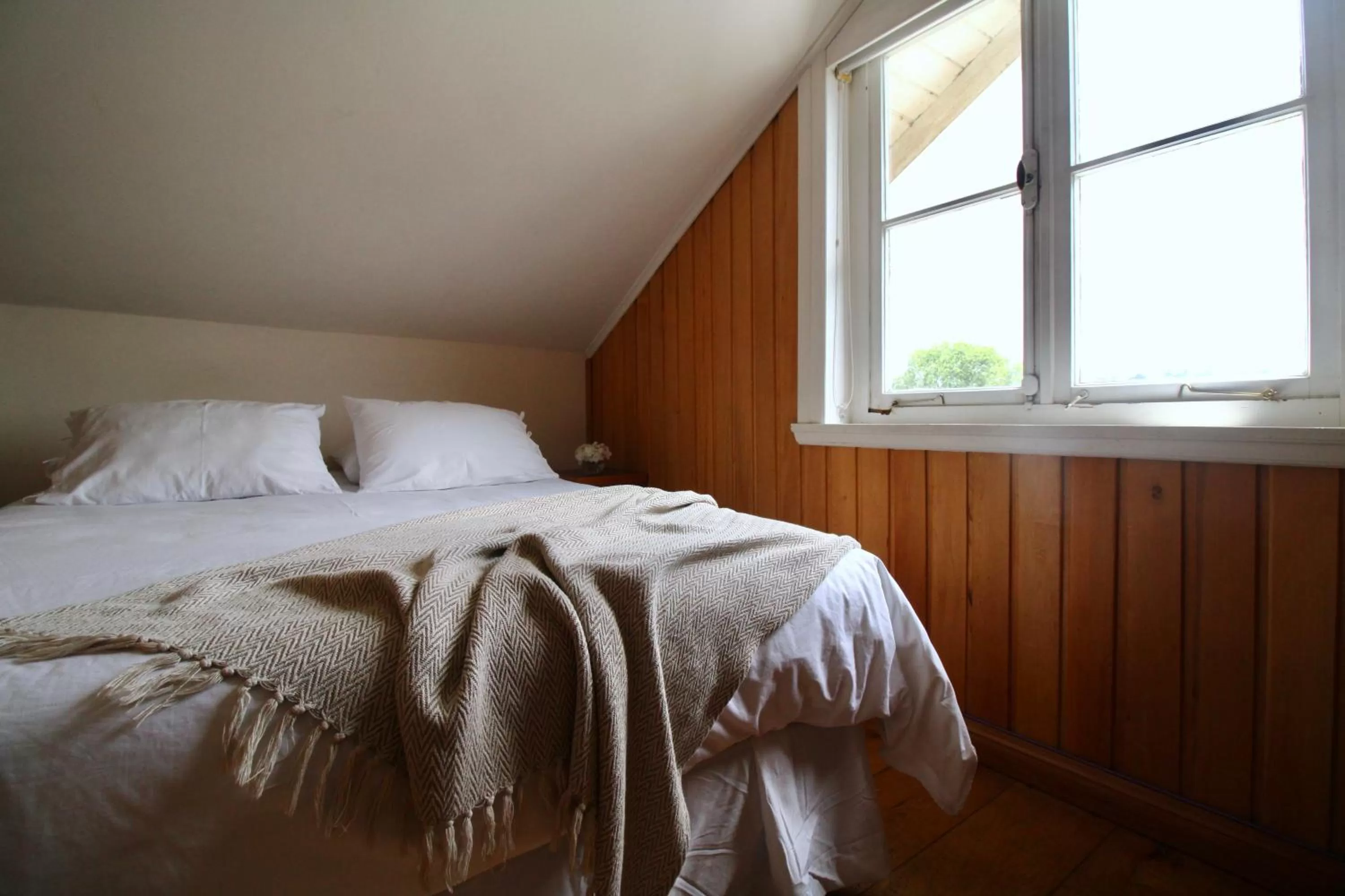 Bed in Hotel Boutique Casa Werner