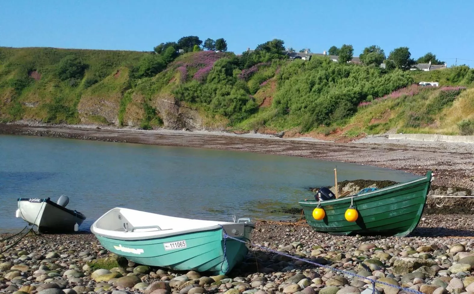 Other in Wagtail Lodge