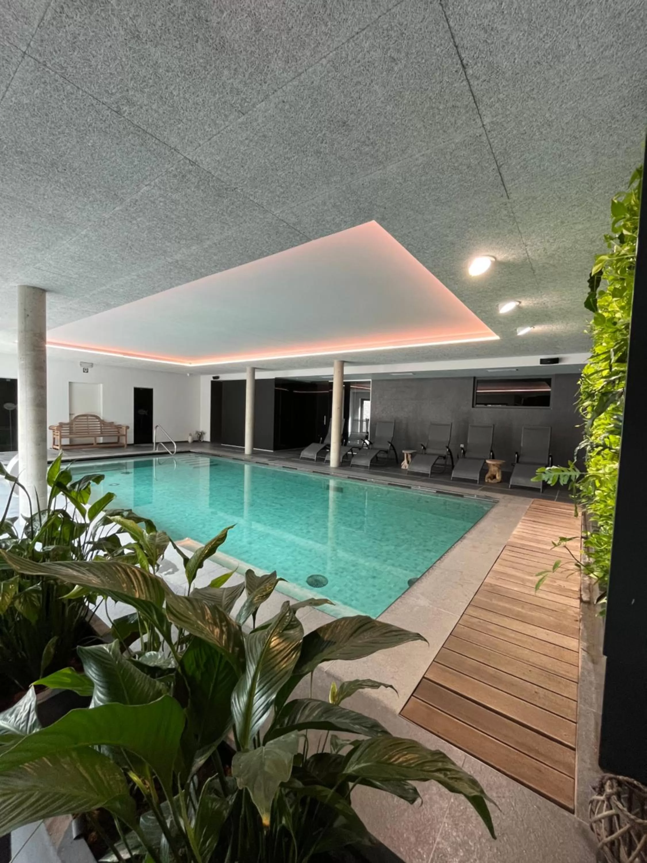 Pool view, Swimming Pool in Hôtel WELLNESS EAU DE ROCHE Durbuy
