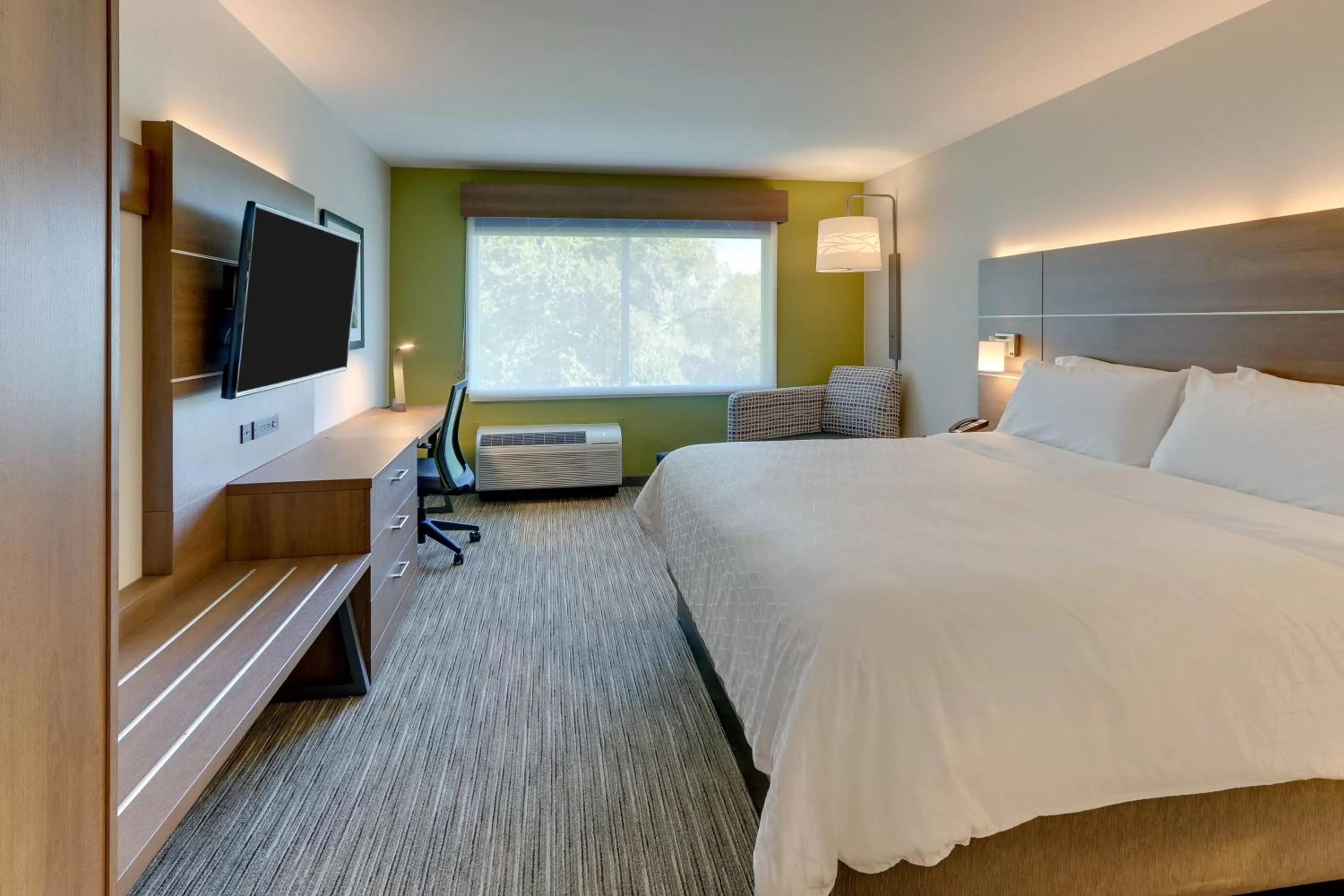 Photo of the whole room, Bed in Holiday Inn Express & Suites - Roanoke – Civic Center