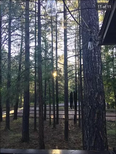 Natural landscape in Rainbows End Fishing Resort