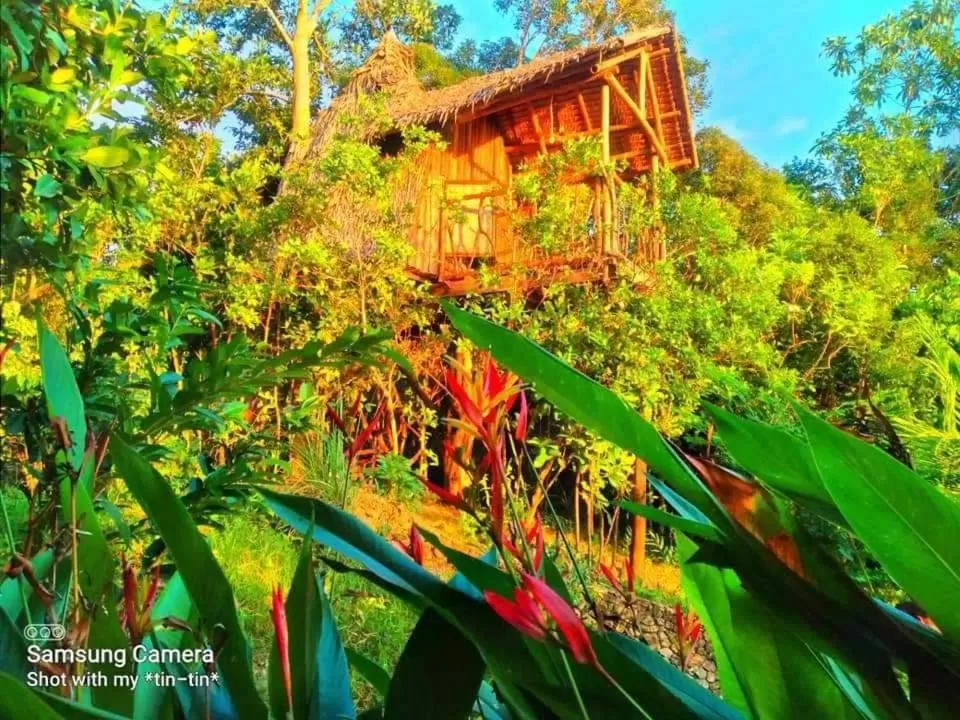 Sanctuaria Treehouses Busuanga