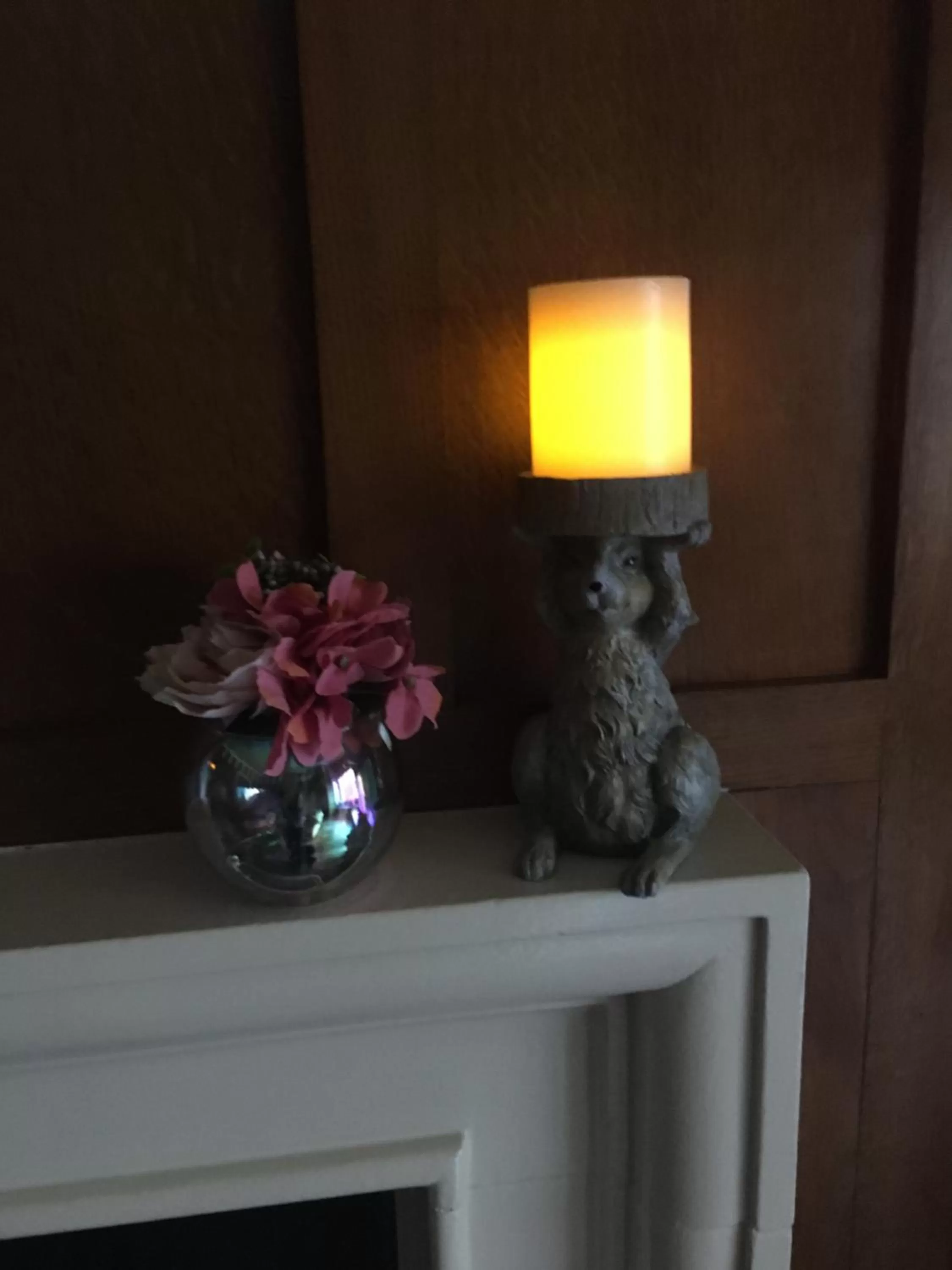 Garden in Retreat at The Knowe Auchincruive Estate