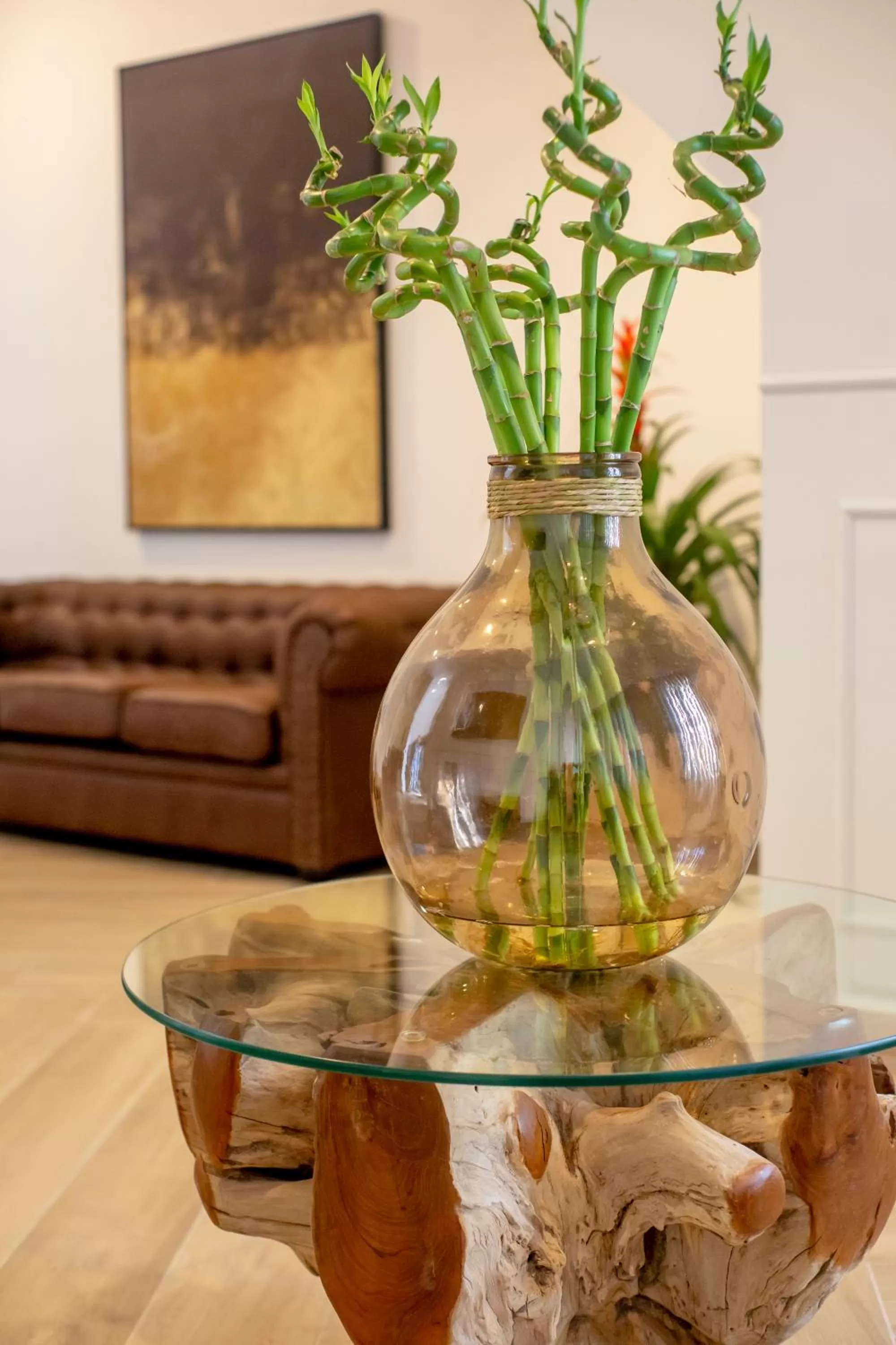 Guest House Jacarandá Faro