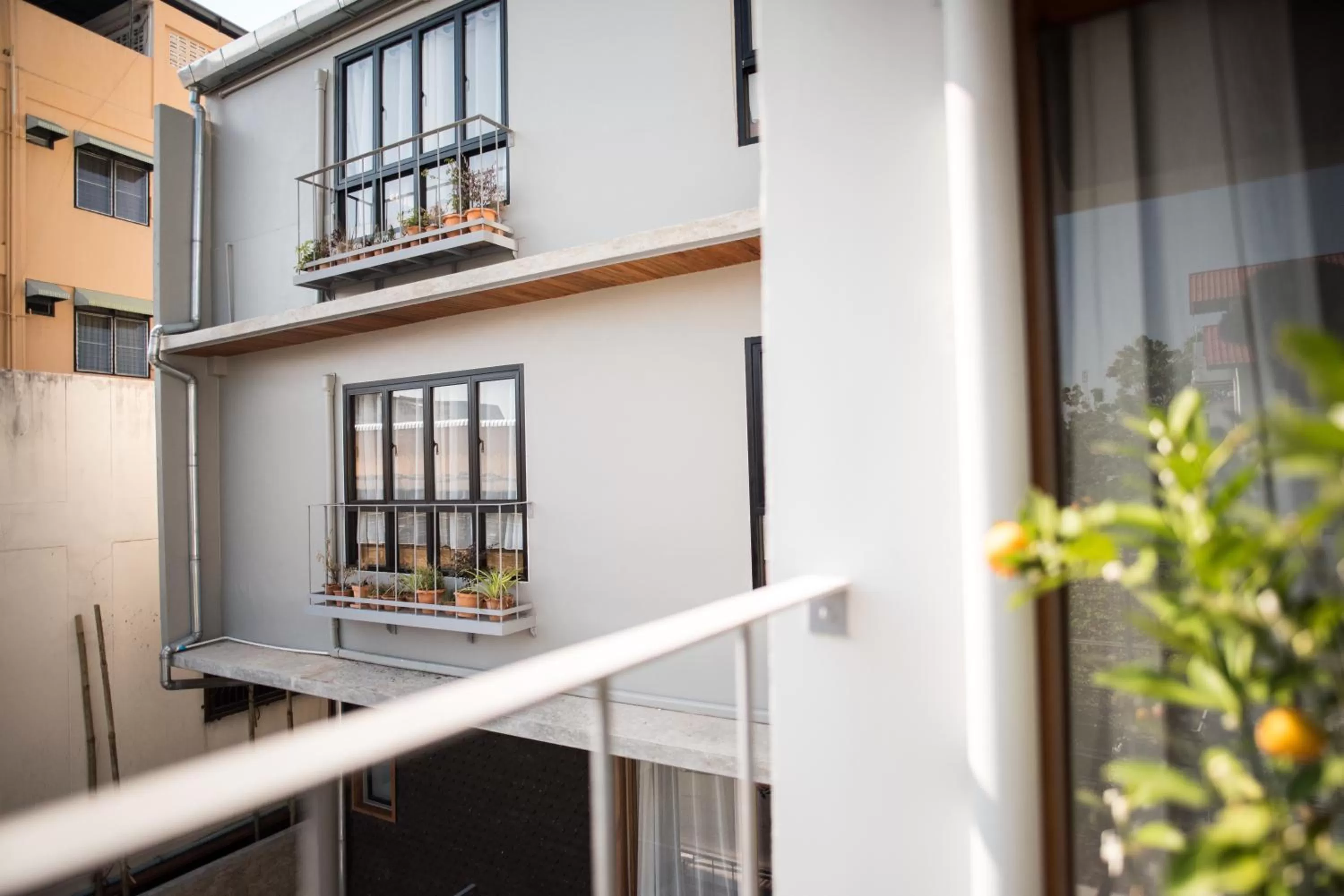 Day in Thapae Happy House