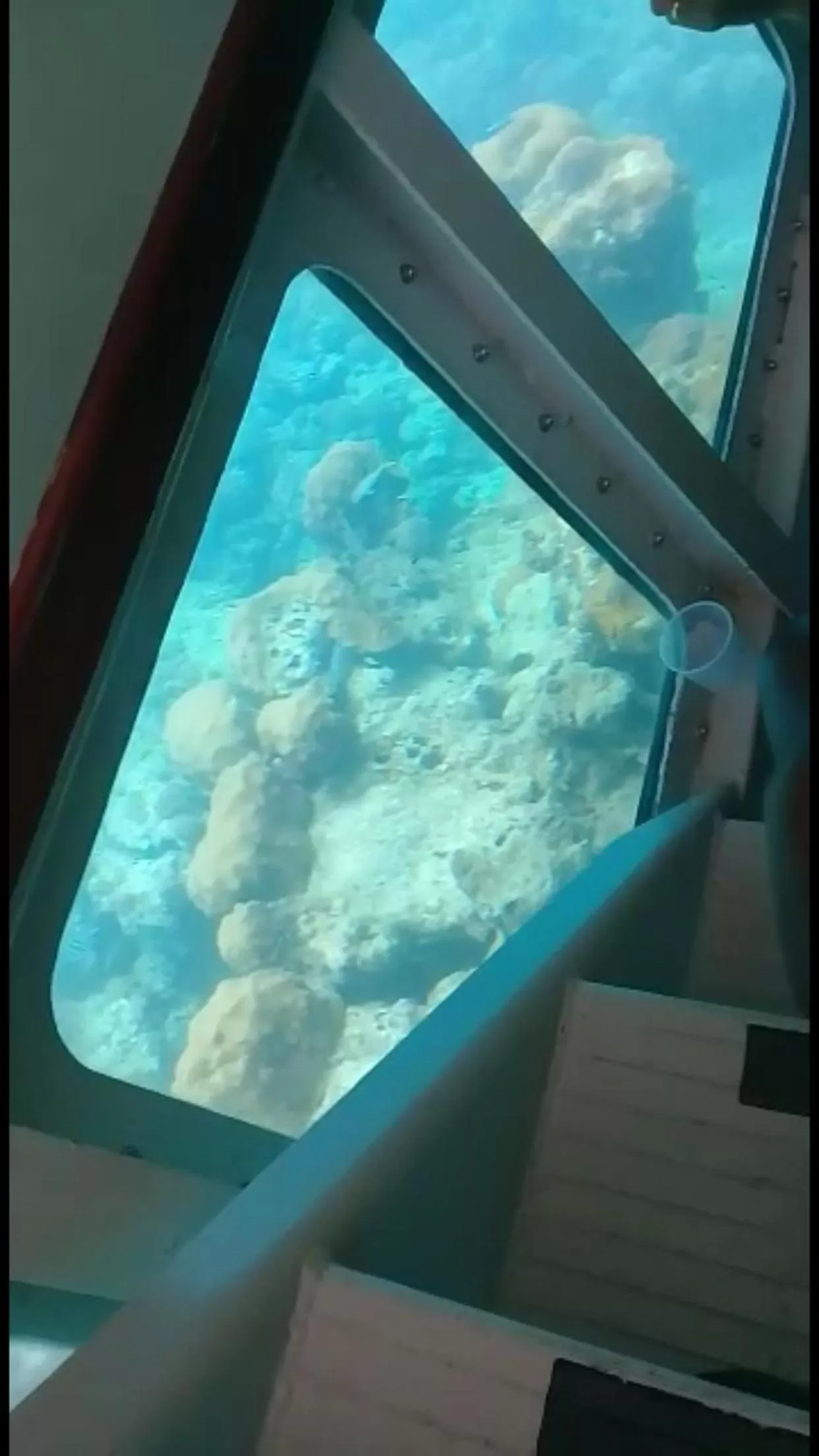 Diving in Hotel Boutique Simona