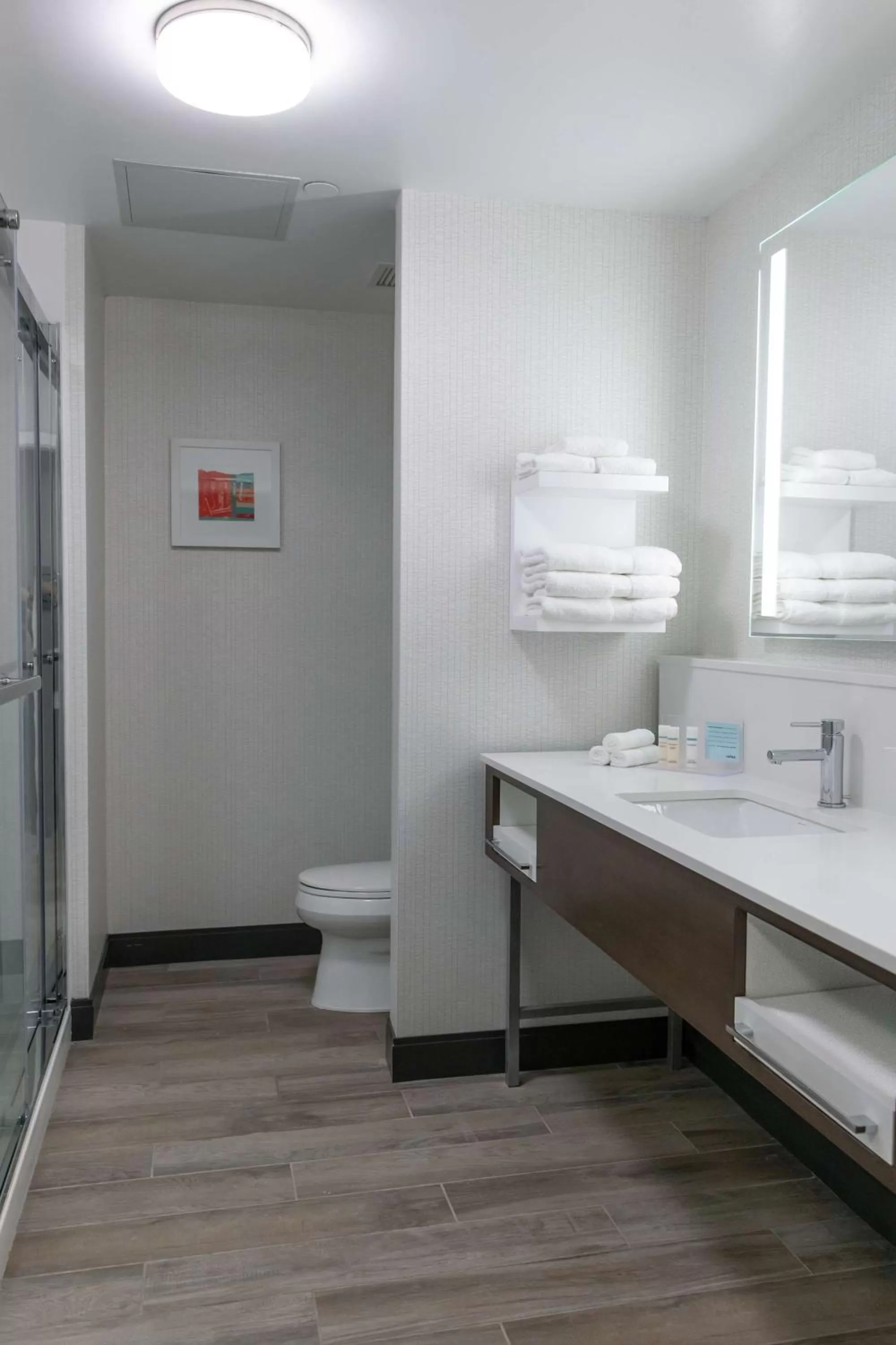 Bathroom in Hampton Inn Black Mountain