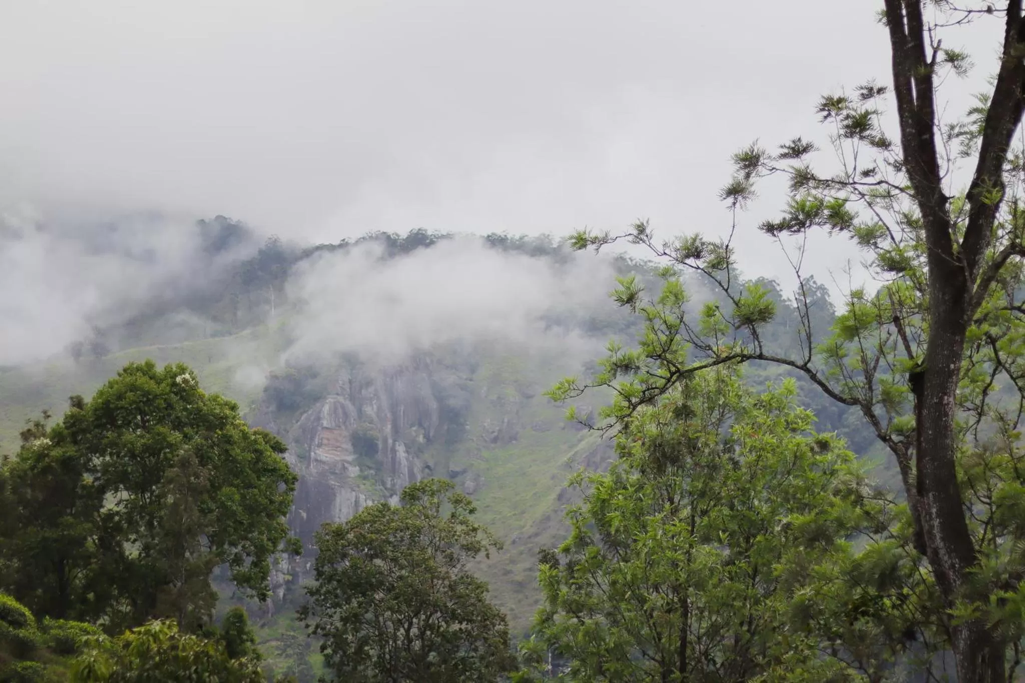 View (from property/room) in The One Ella