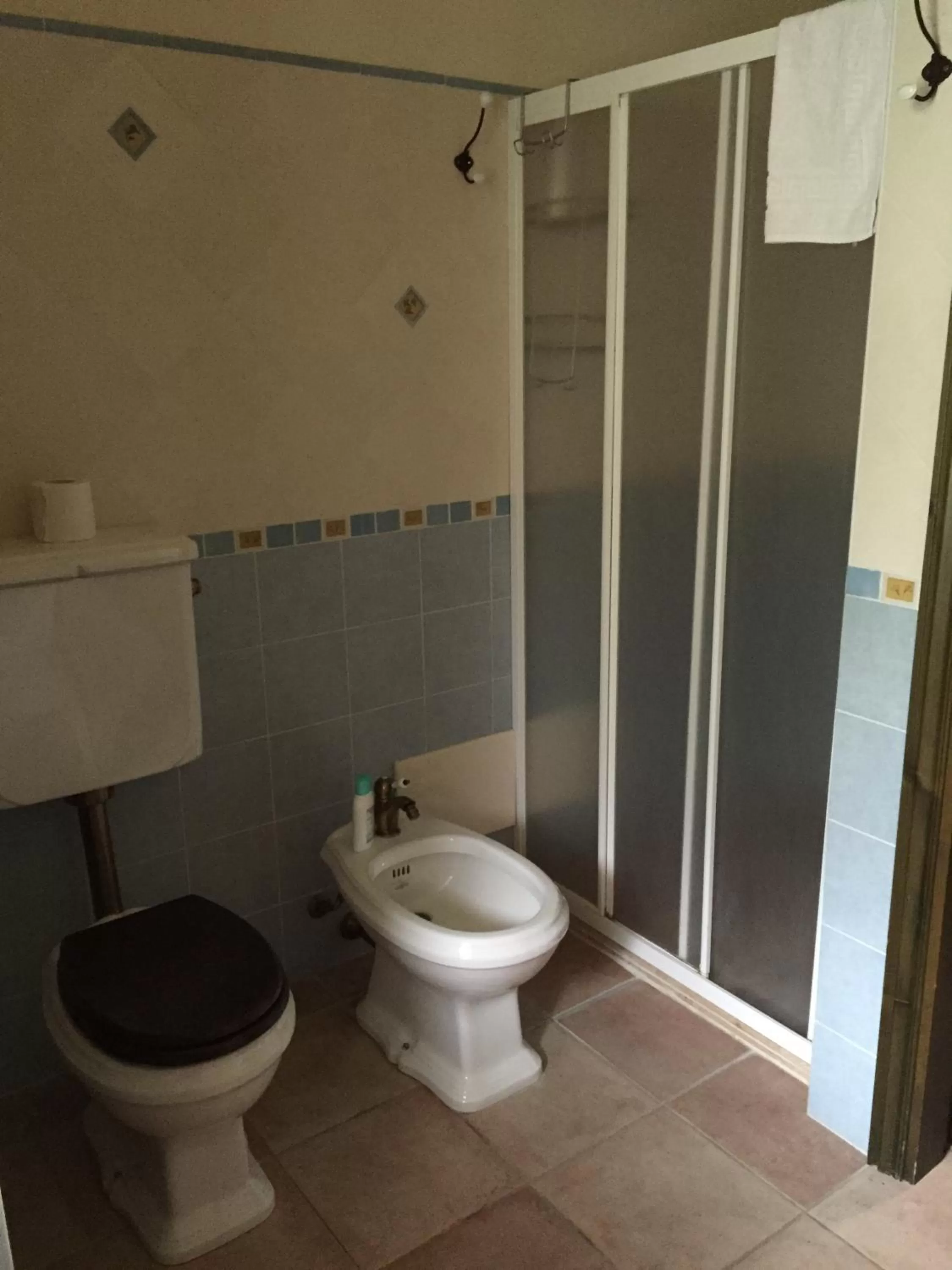 Decorative detail, Bathroom in B&B Rollo Garden