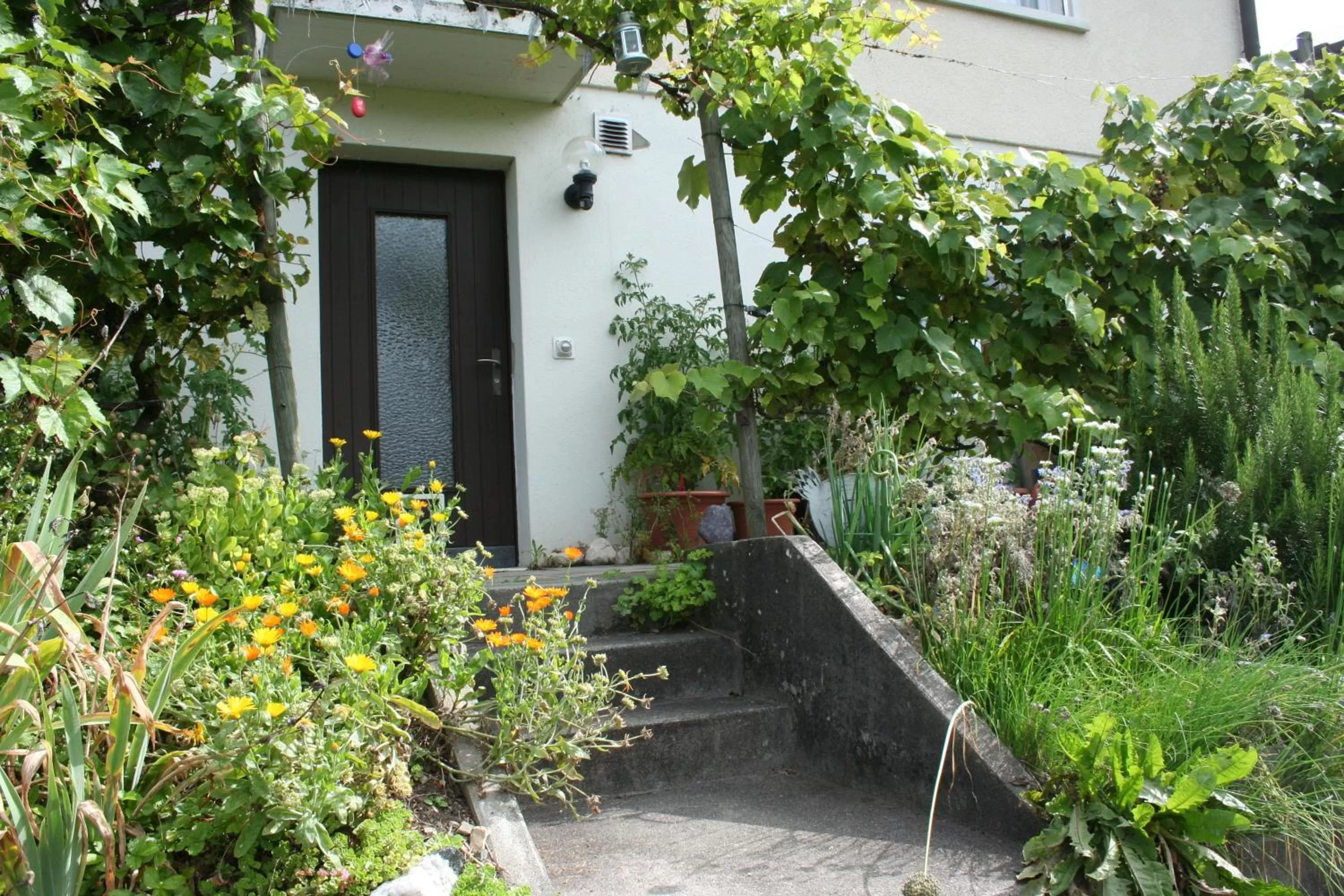 Facade/entrance in BnB Mönthal im Jurapark