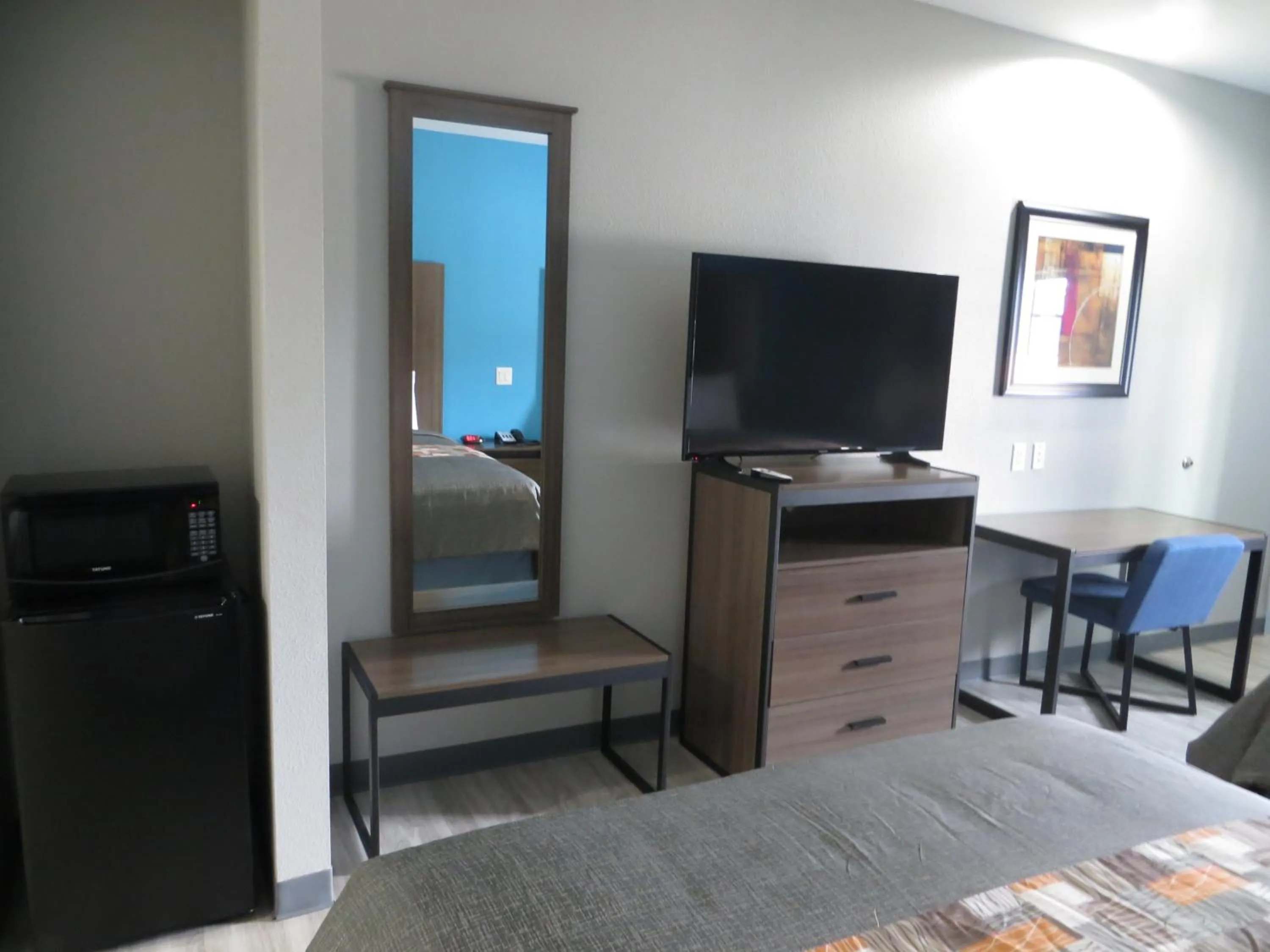 TV and multimedia in Haven Inn & Suites willowbrook