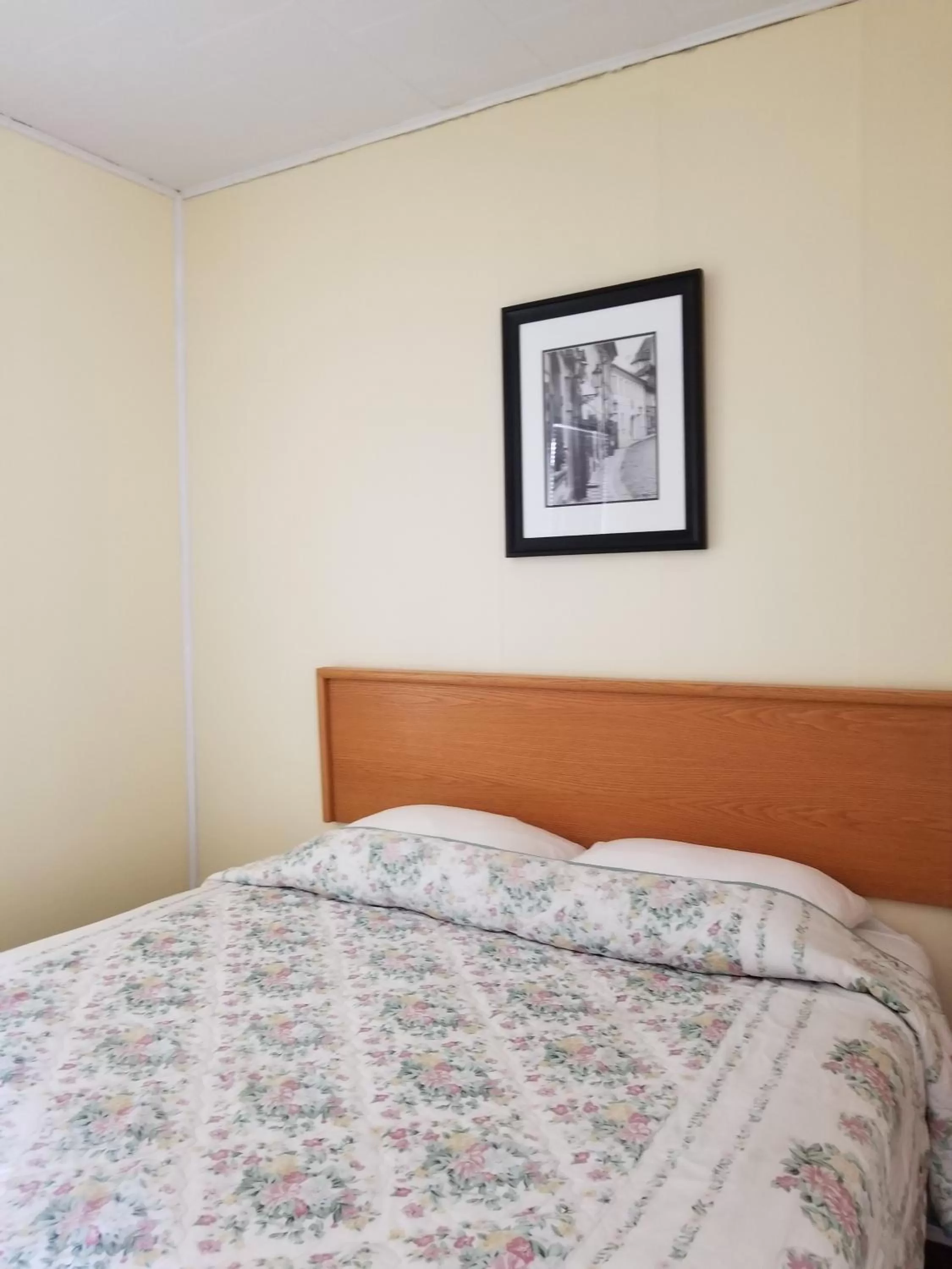 Bed in Melsask Motel