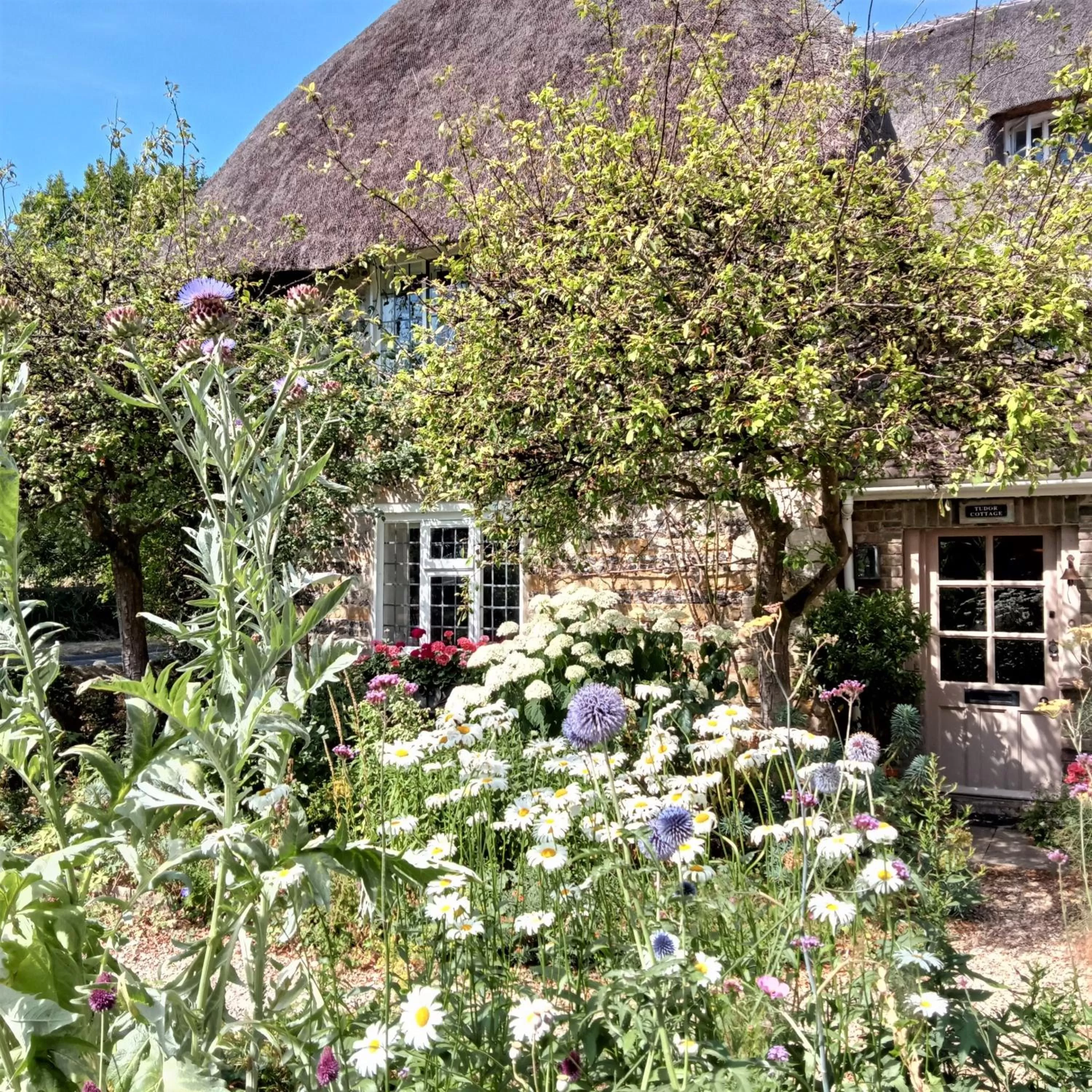 Property building in Tudor Cottage B&B Frampton