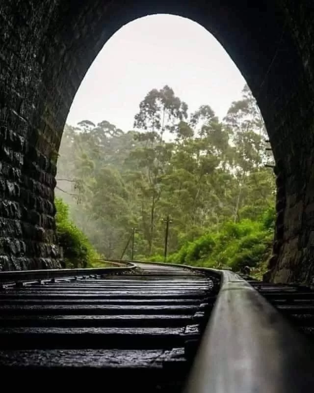 Ella Lucky Panoramic