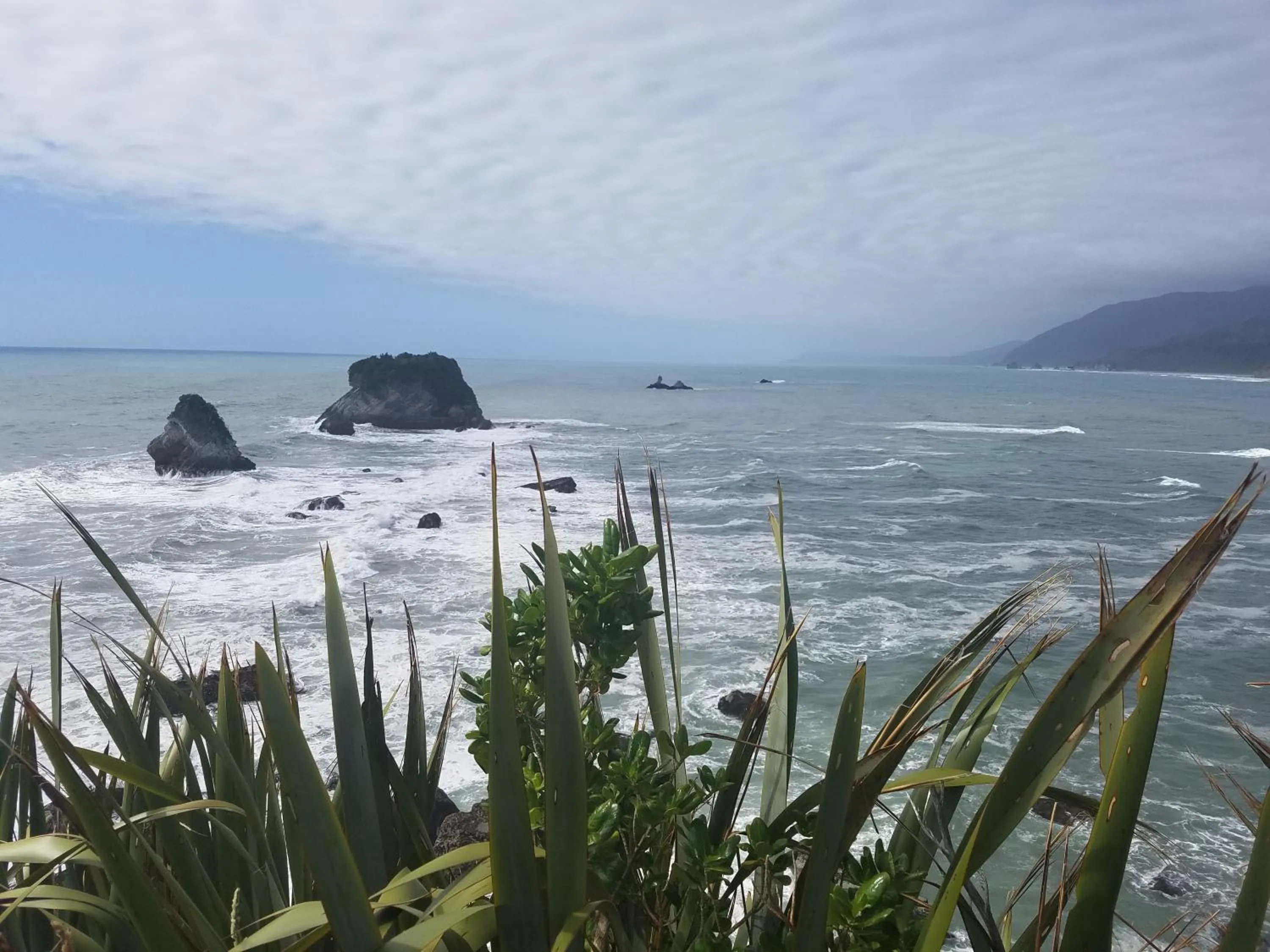 Nearby landmark in Noah's Ark Flashpacker