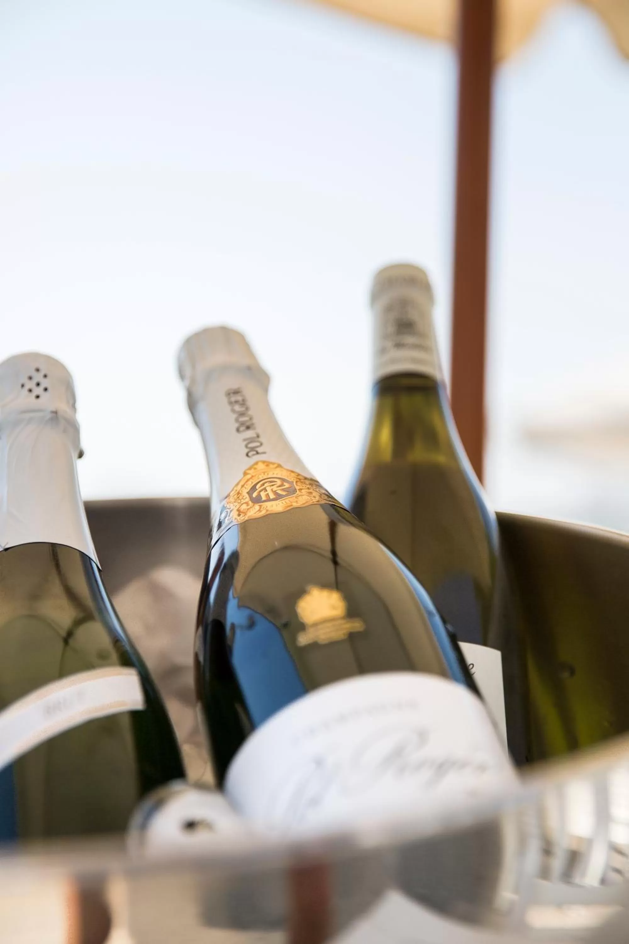 Food and drinks in Møn Golf Resort - Hotel Præstekilde