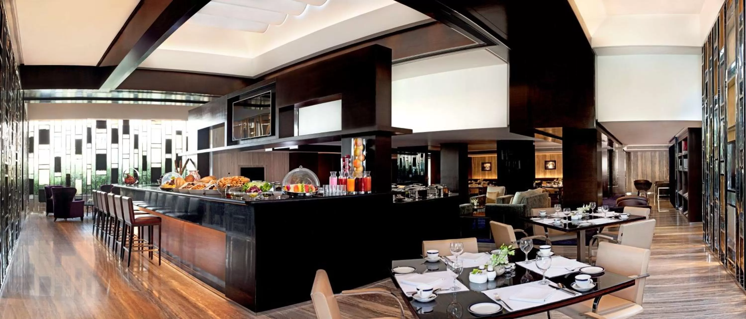 Lounge or bar in Radisson Blu Plaza Delhi Airport