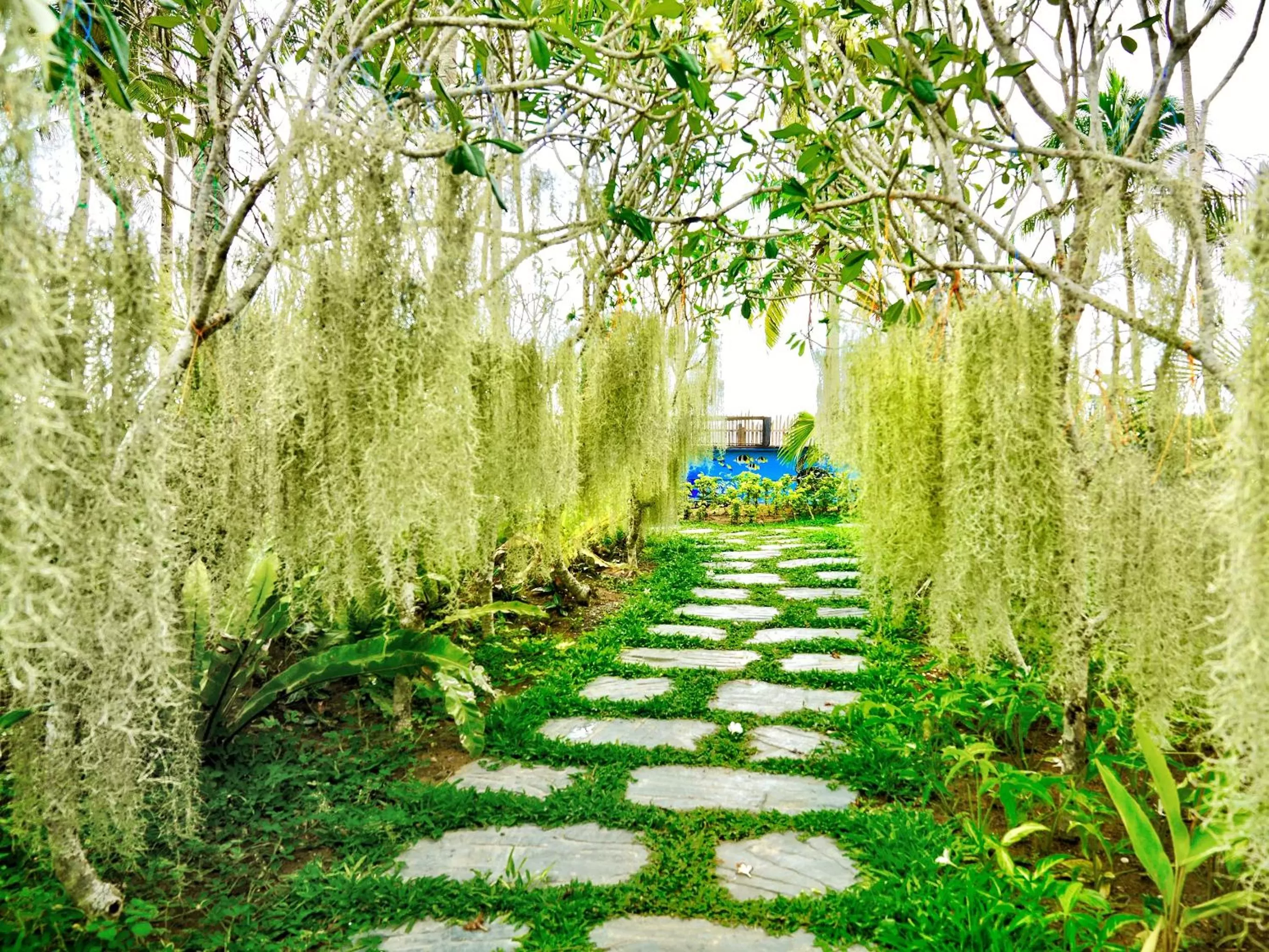 Nacpan Beach Glamping Managed by H Hospitality Group