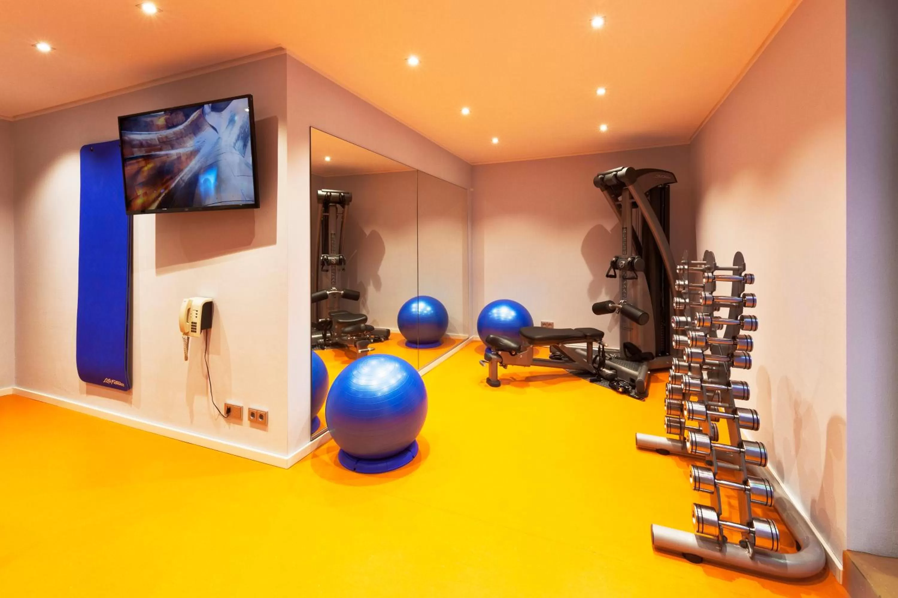 Fitness centre/facilities, Fitness Center/Facilities in Holiday Inn Dresden - City South, an IHG Hotel