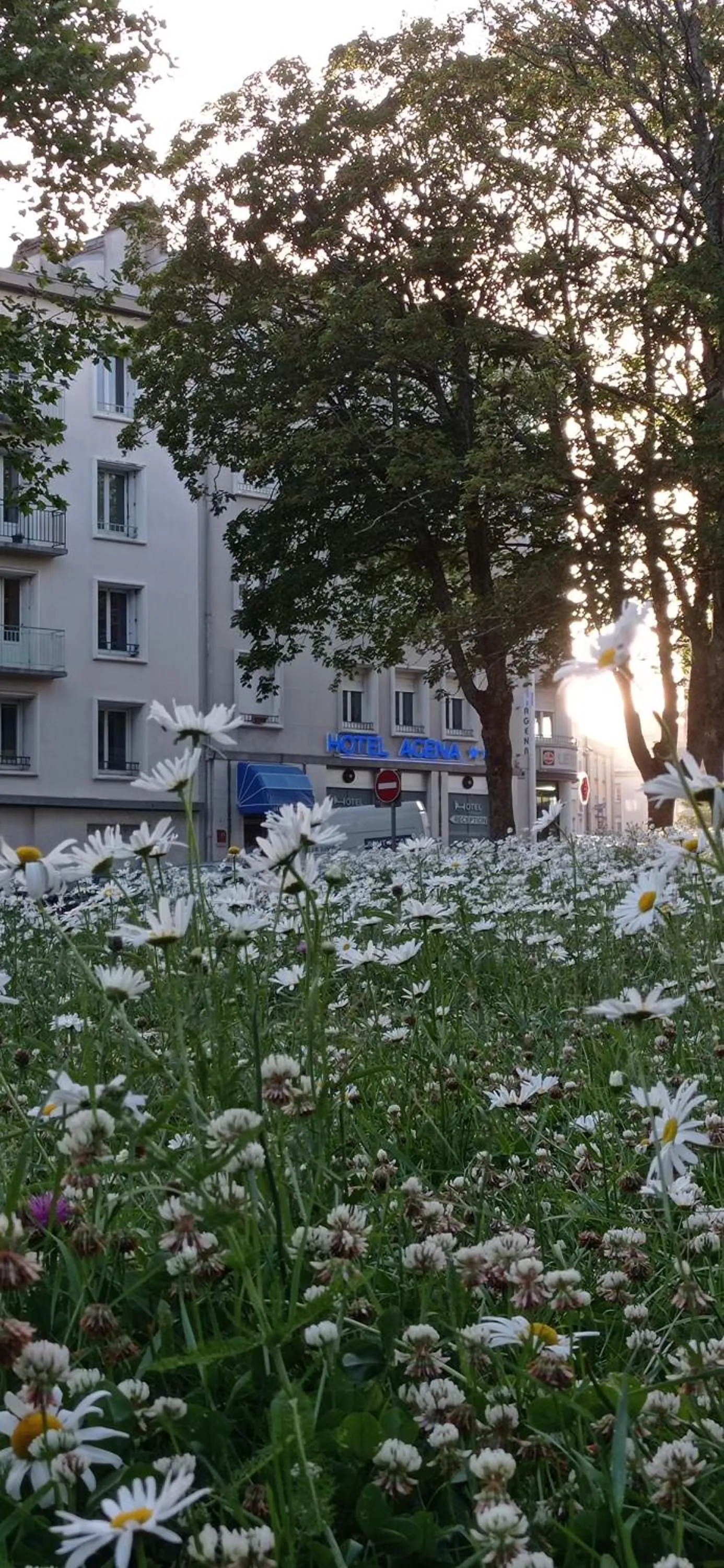 Garden in Hôtel Agena