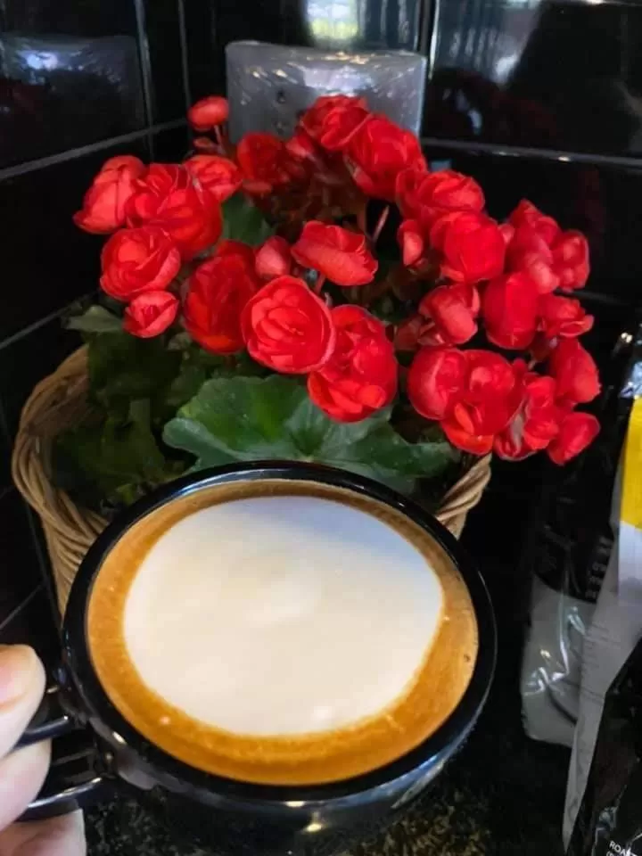 Drinks in Aonang Dugong-SHA Extra Plus