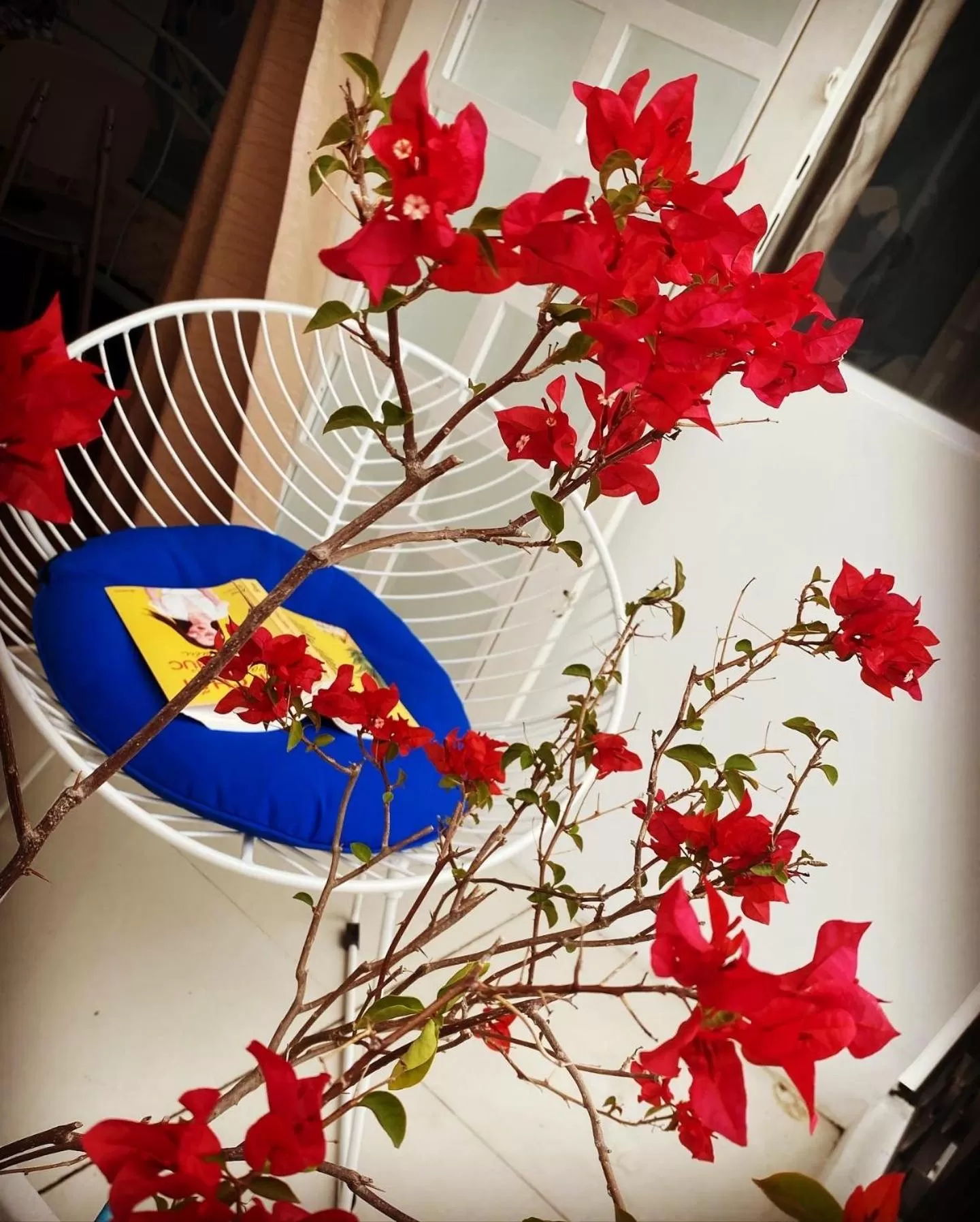 Emerald Boutique Stay 2