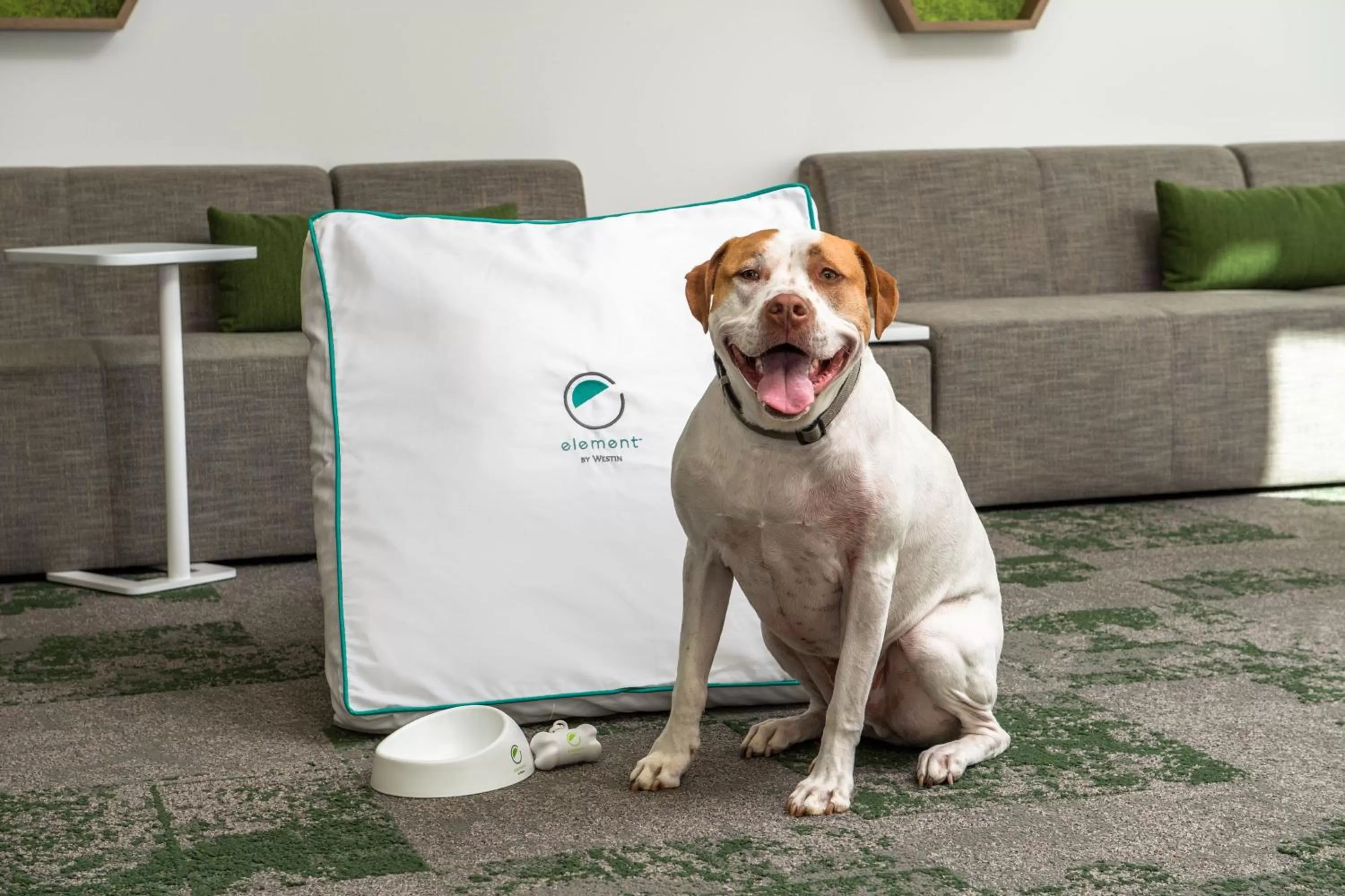 Other in Element San Jose Milpitas