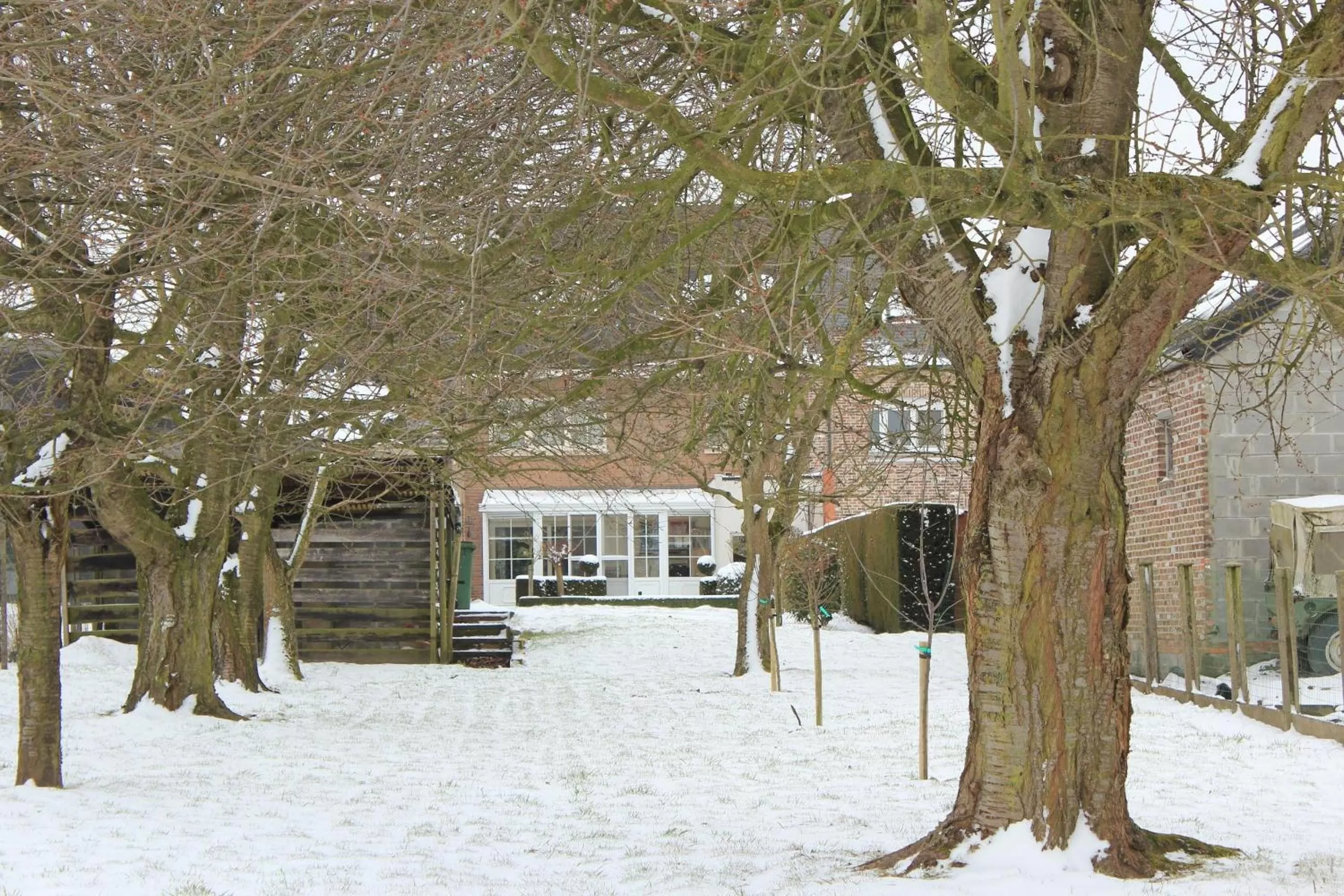 Garden in B&B Den Boomgaard Moorsel