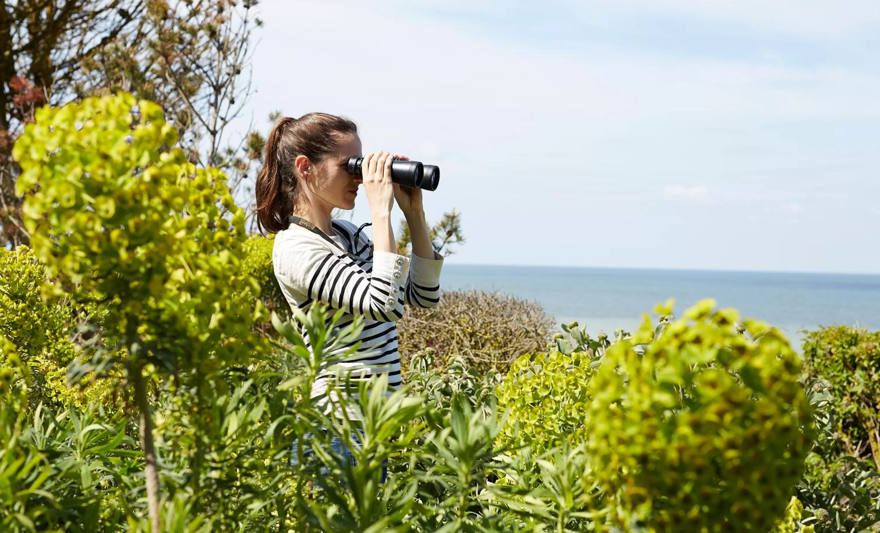 Garden view in The Originals Hôtel Le Cise Restaurant Chambres et Suites