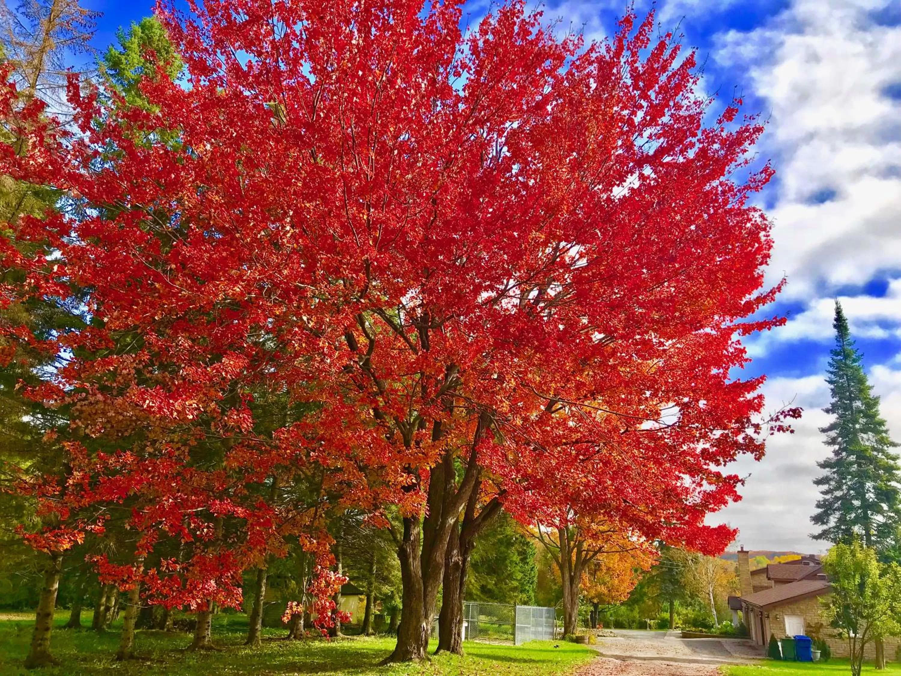 Facade/entrance in Auberge Tom B&B