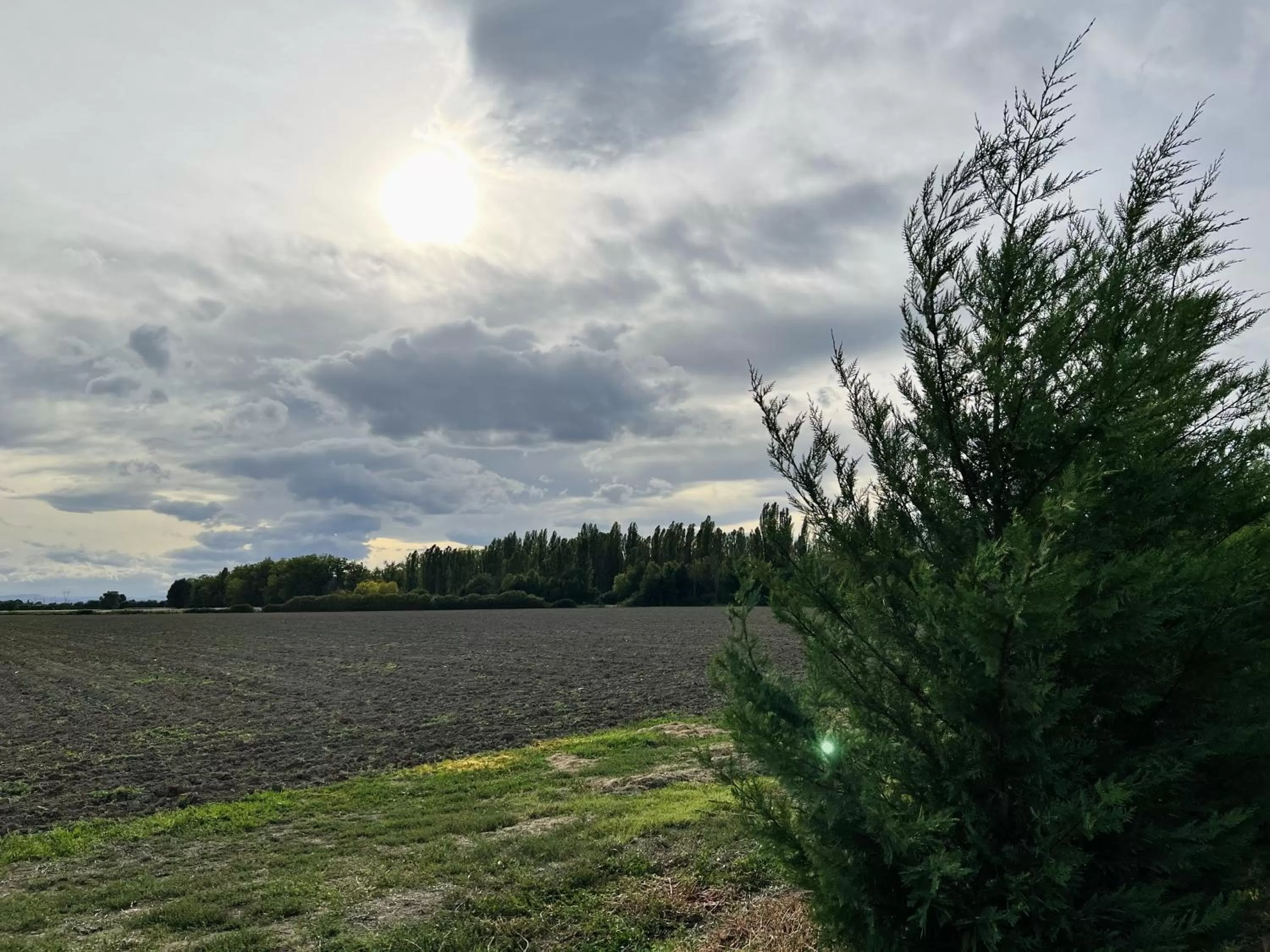 Garden, Natural Landscape in Agriturismo Sabidor