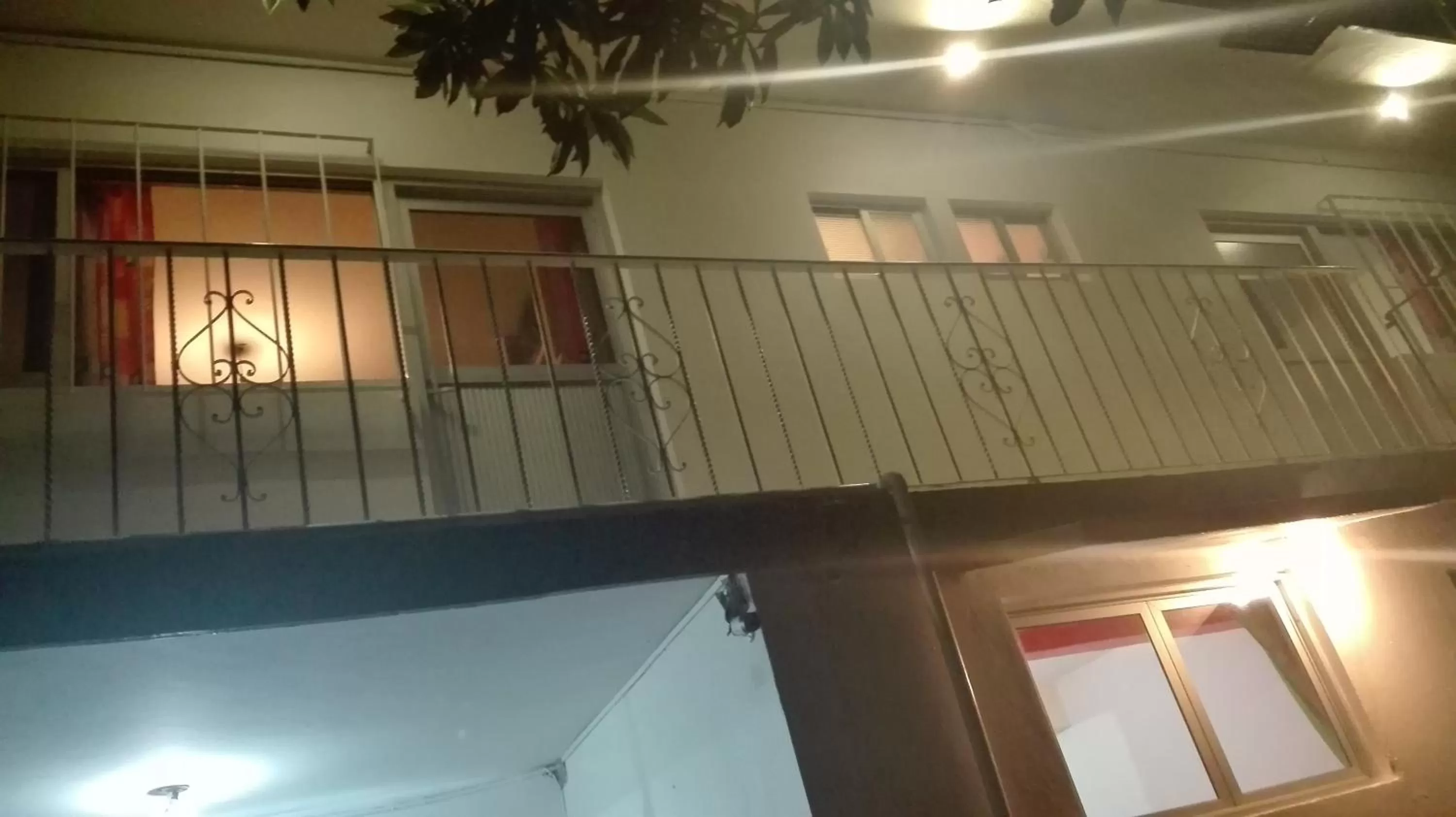 Hotel Angela Carolina