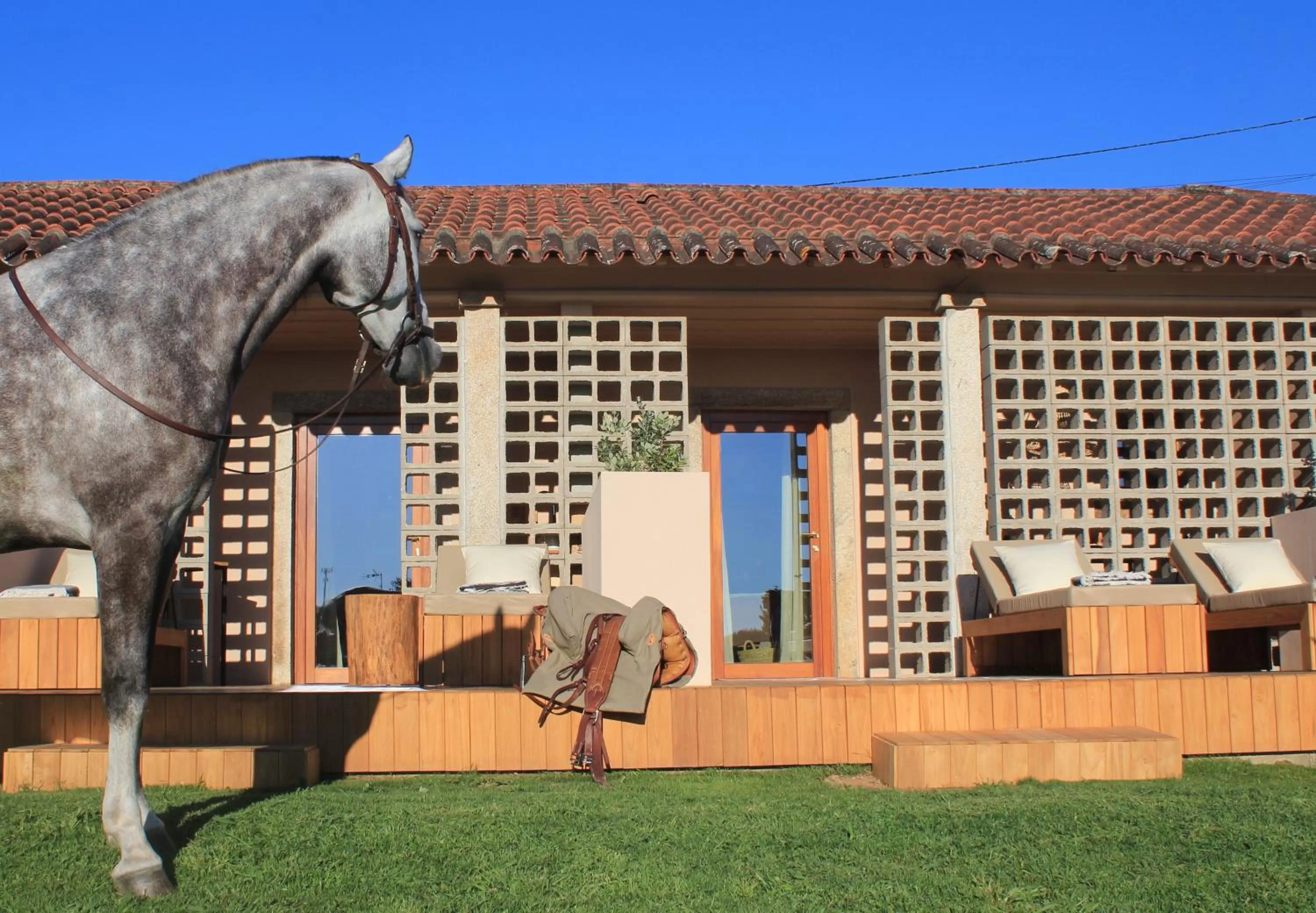 Property building in NHôme Country Living