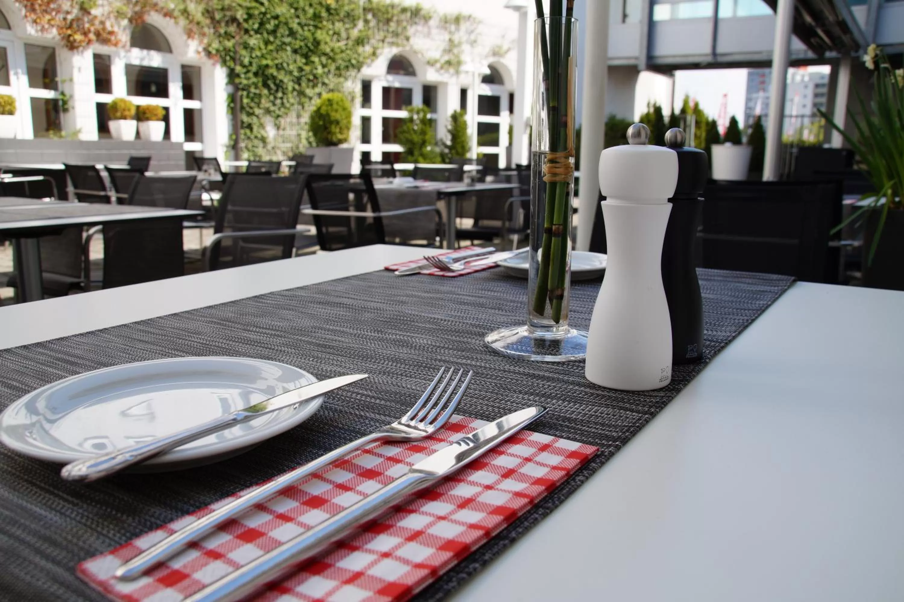 Garden in Hotel Feyrer