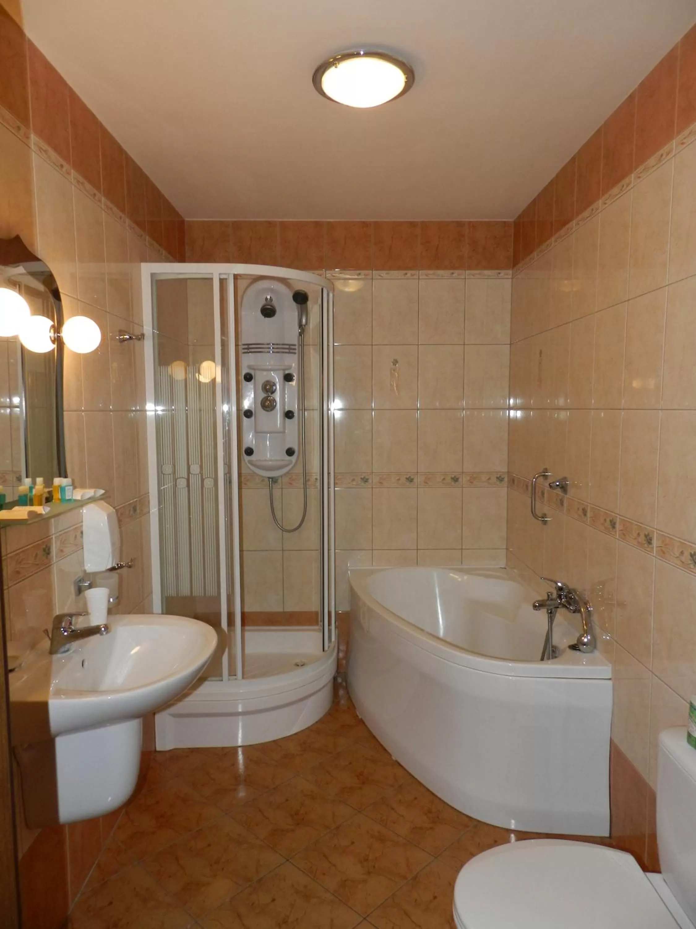 Toilet in Hotel Restauracja Twist