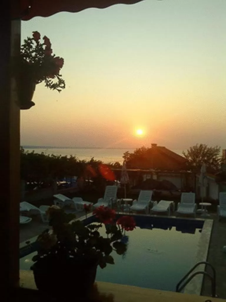 Garden in Hotel Poseidon