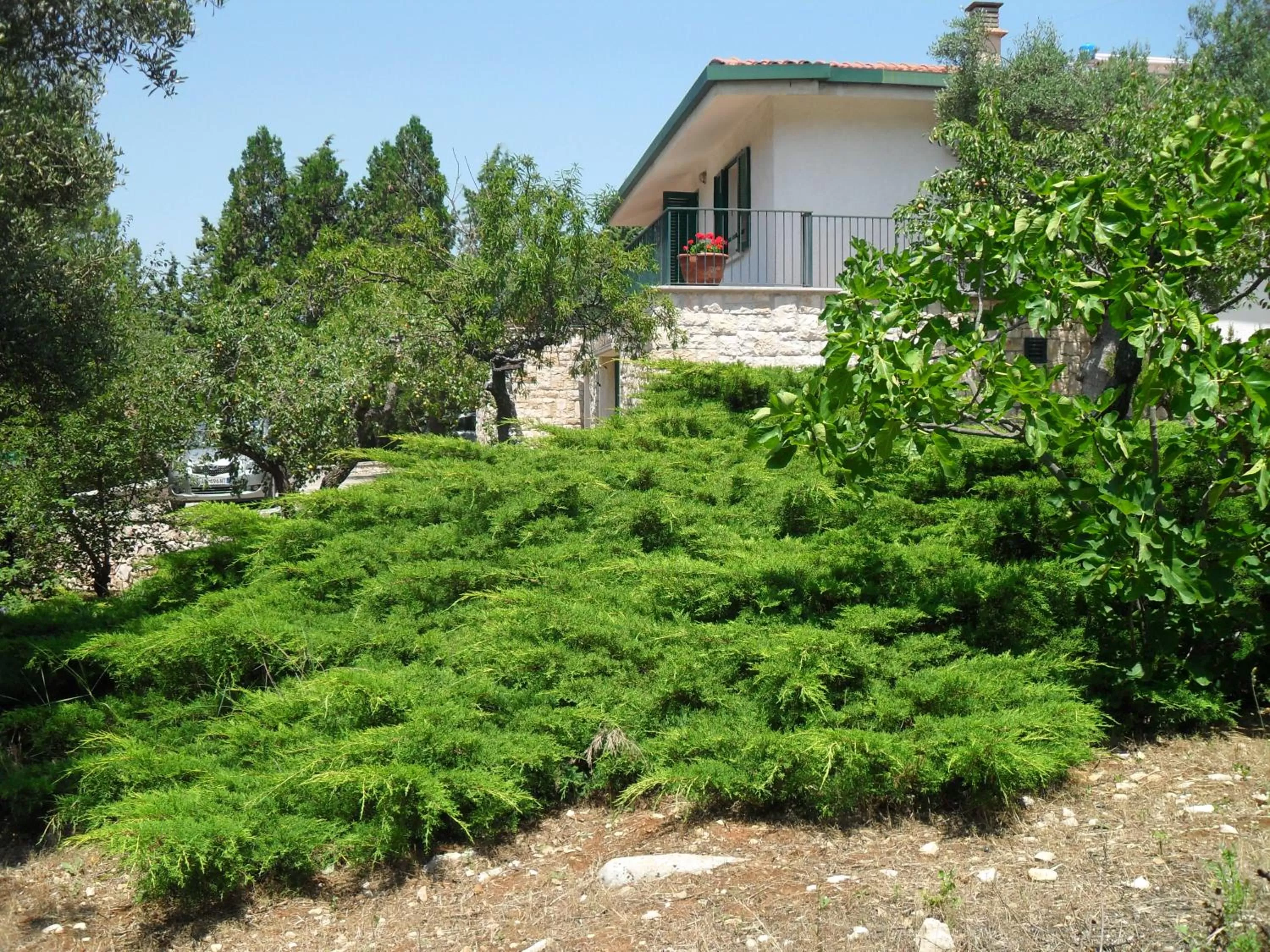 Property building in i gù books & rooms