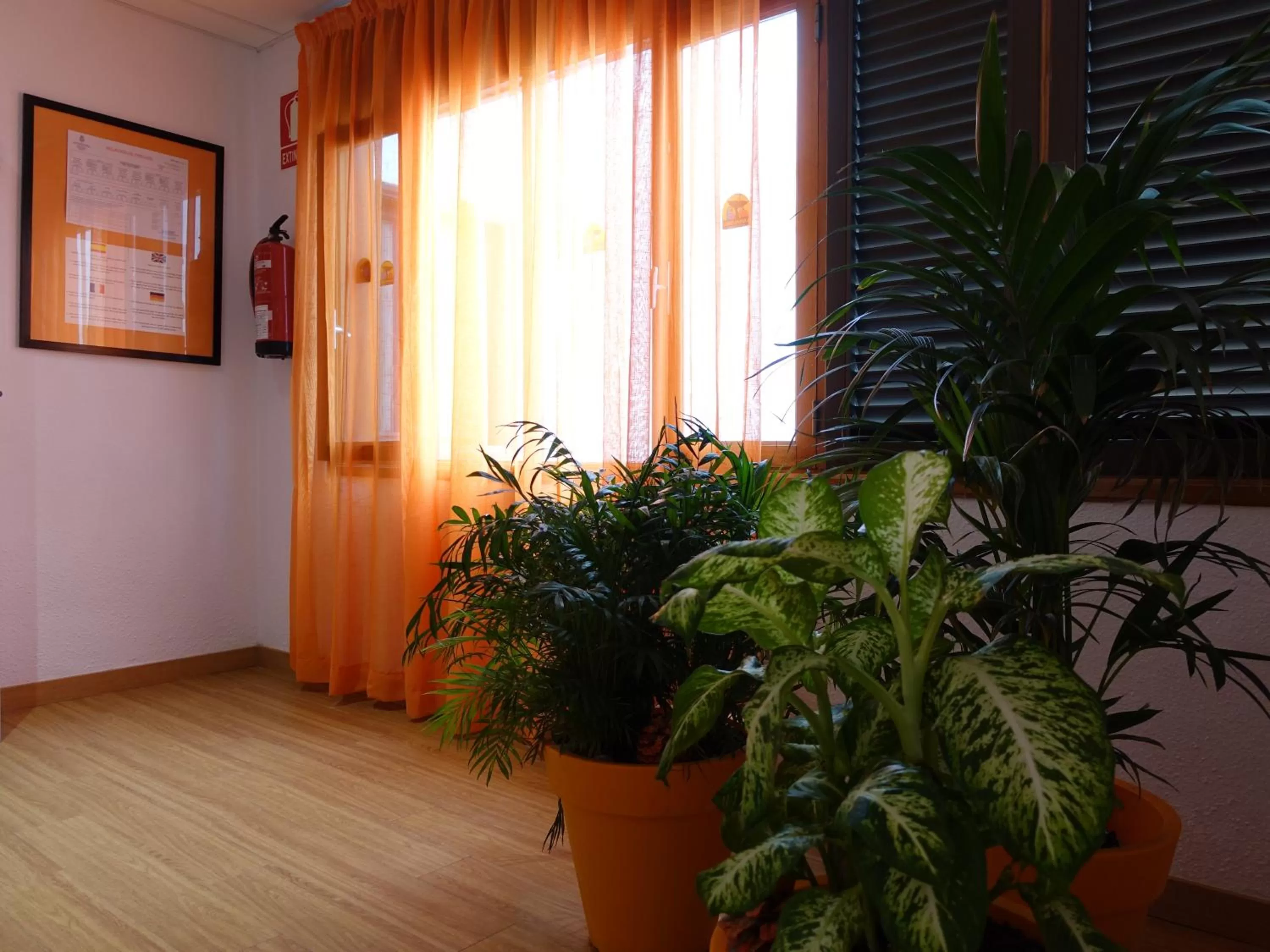 Day in Hotel Andrea´s