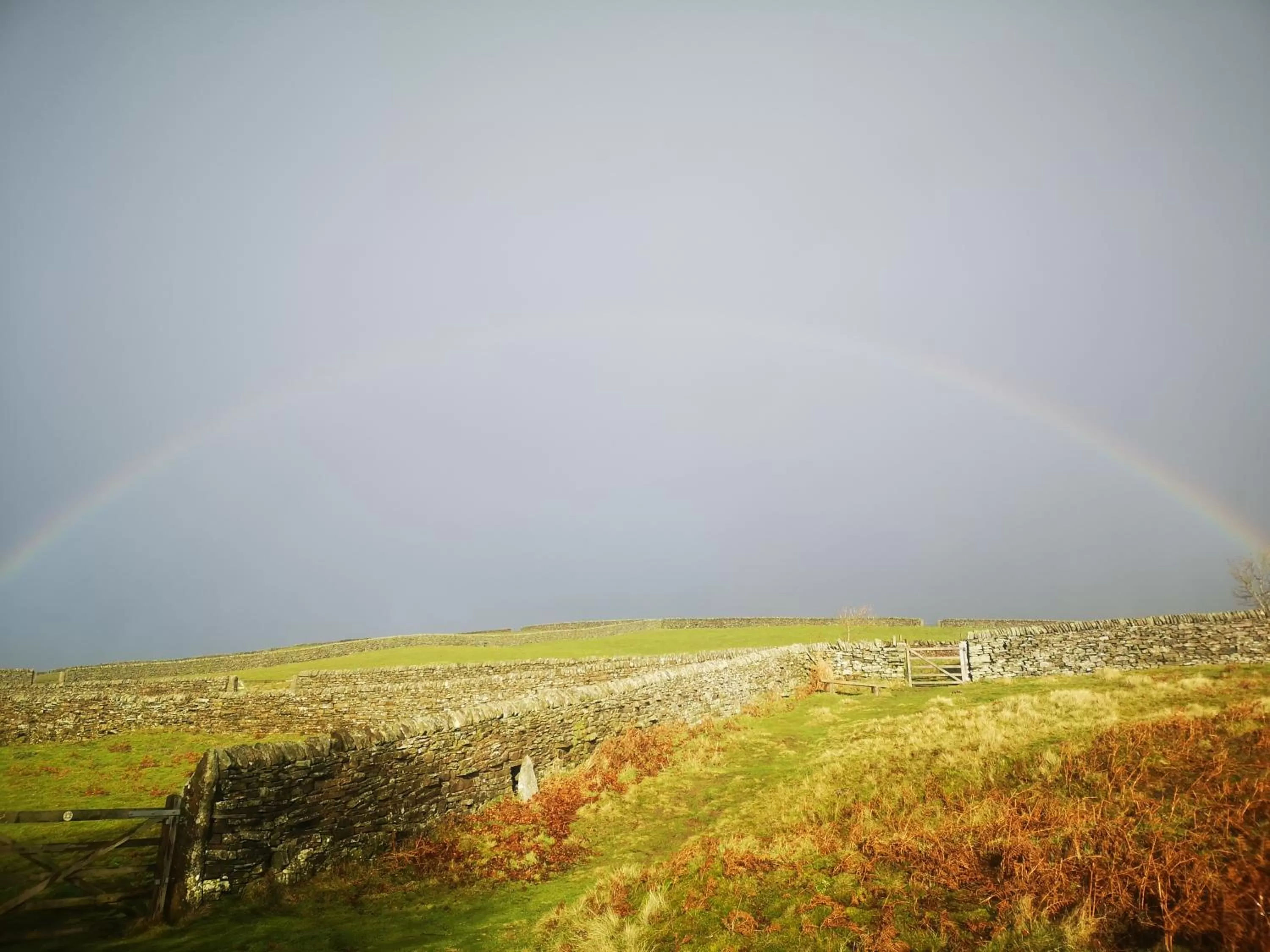 Natural landscape in Kell House Bed & Breakfast