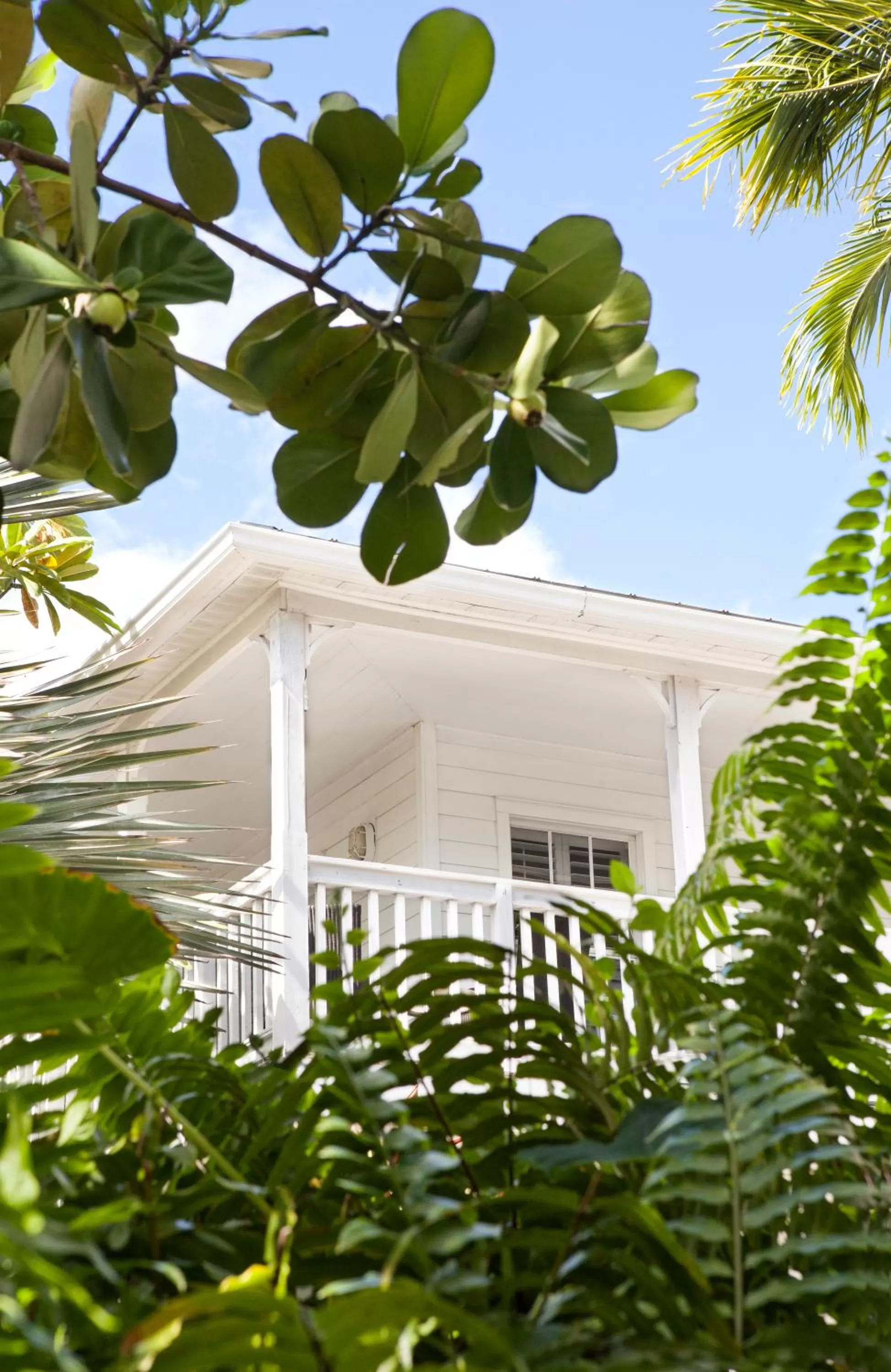 Facade/entrance in Paradise Inn - Adult Exclusive