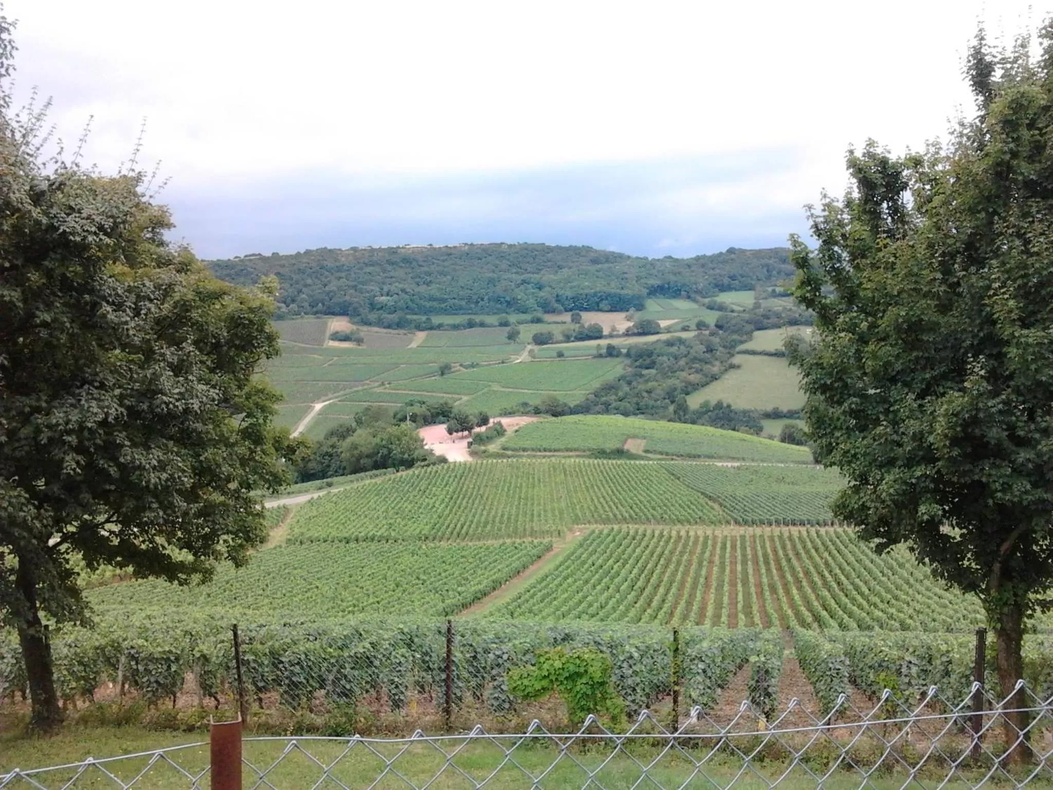 Natural landscape in Armalou